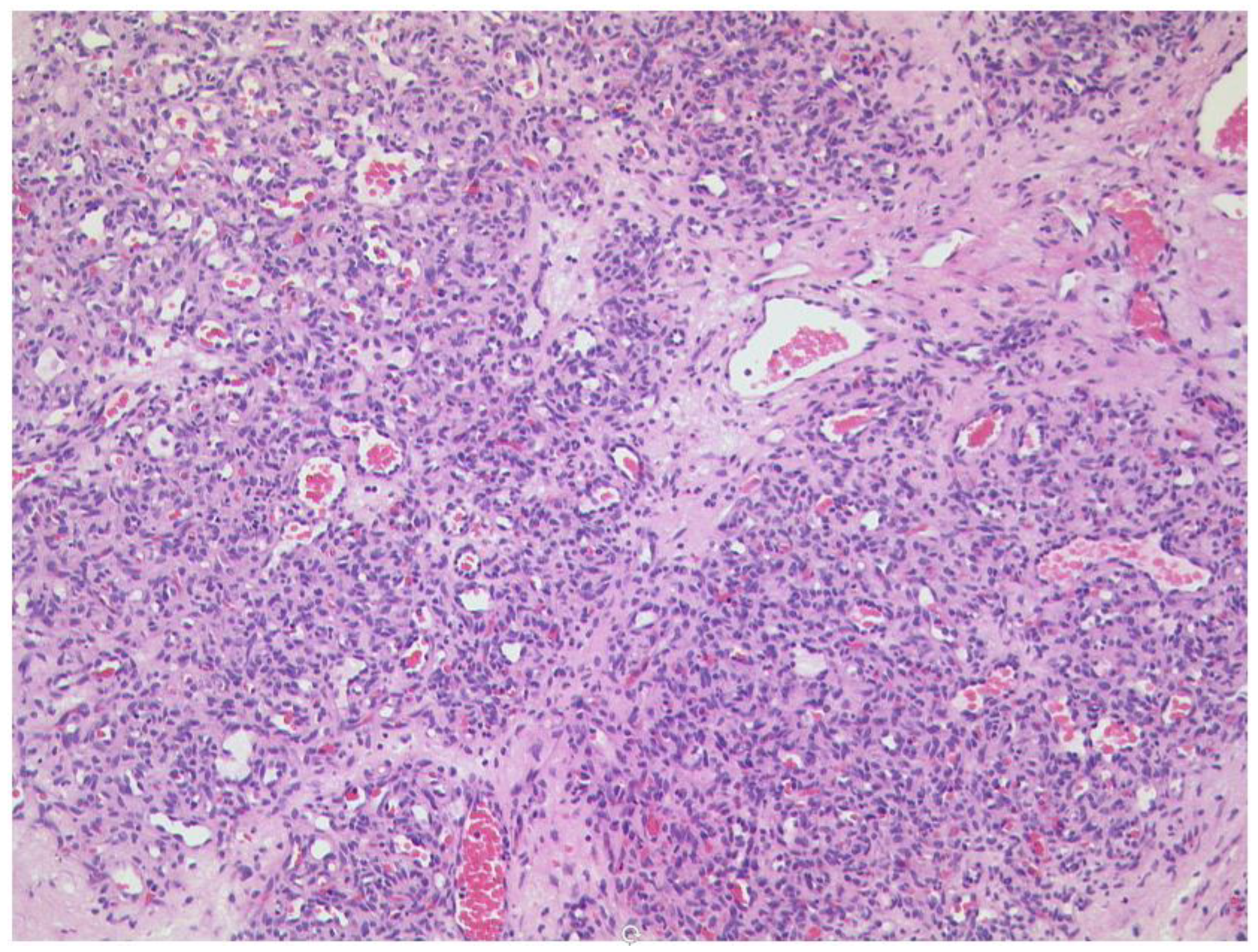 Diagnostics 12 02376 g008