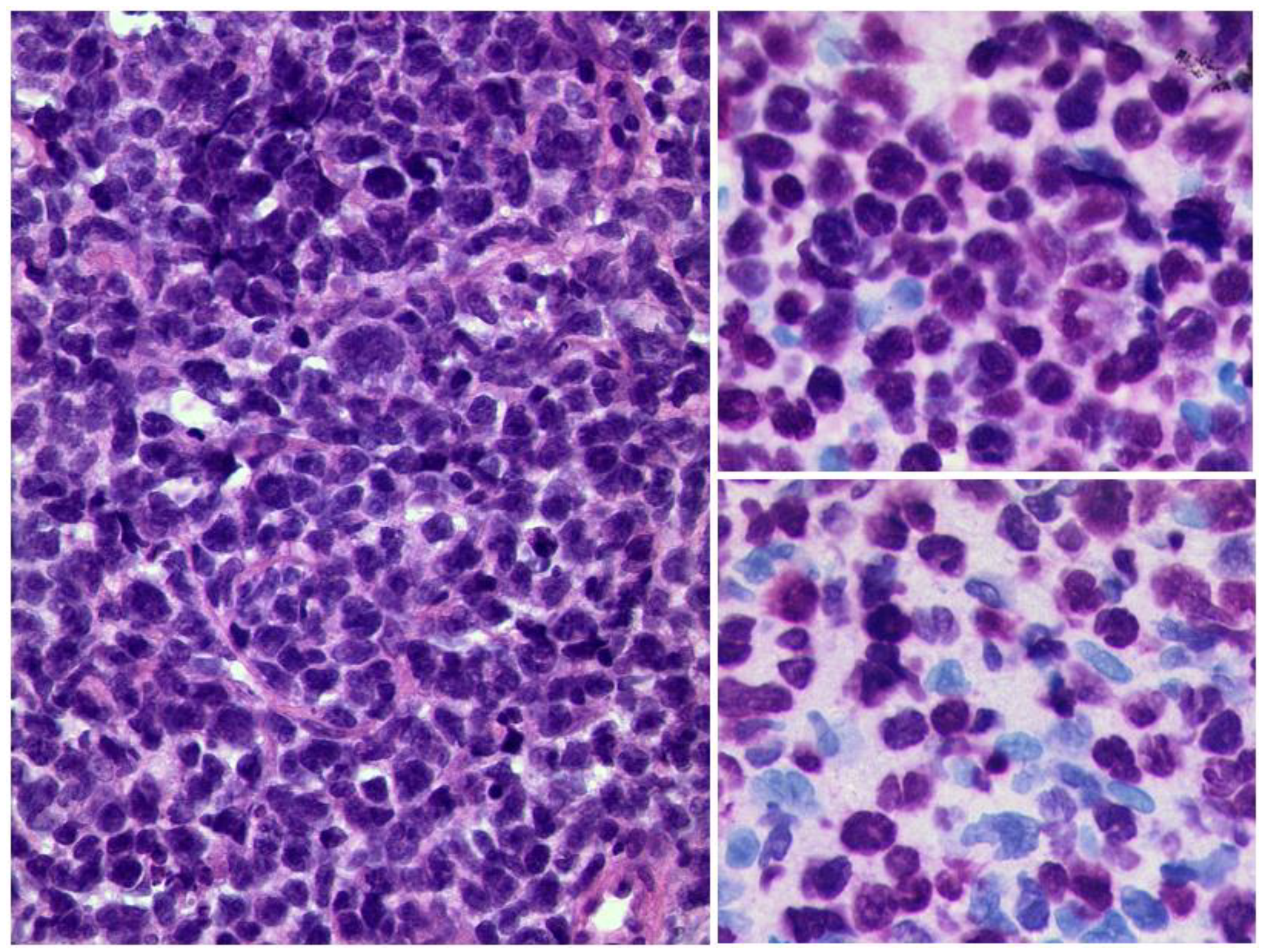 Diagnostics 12 02376 g009