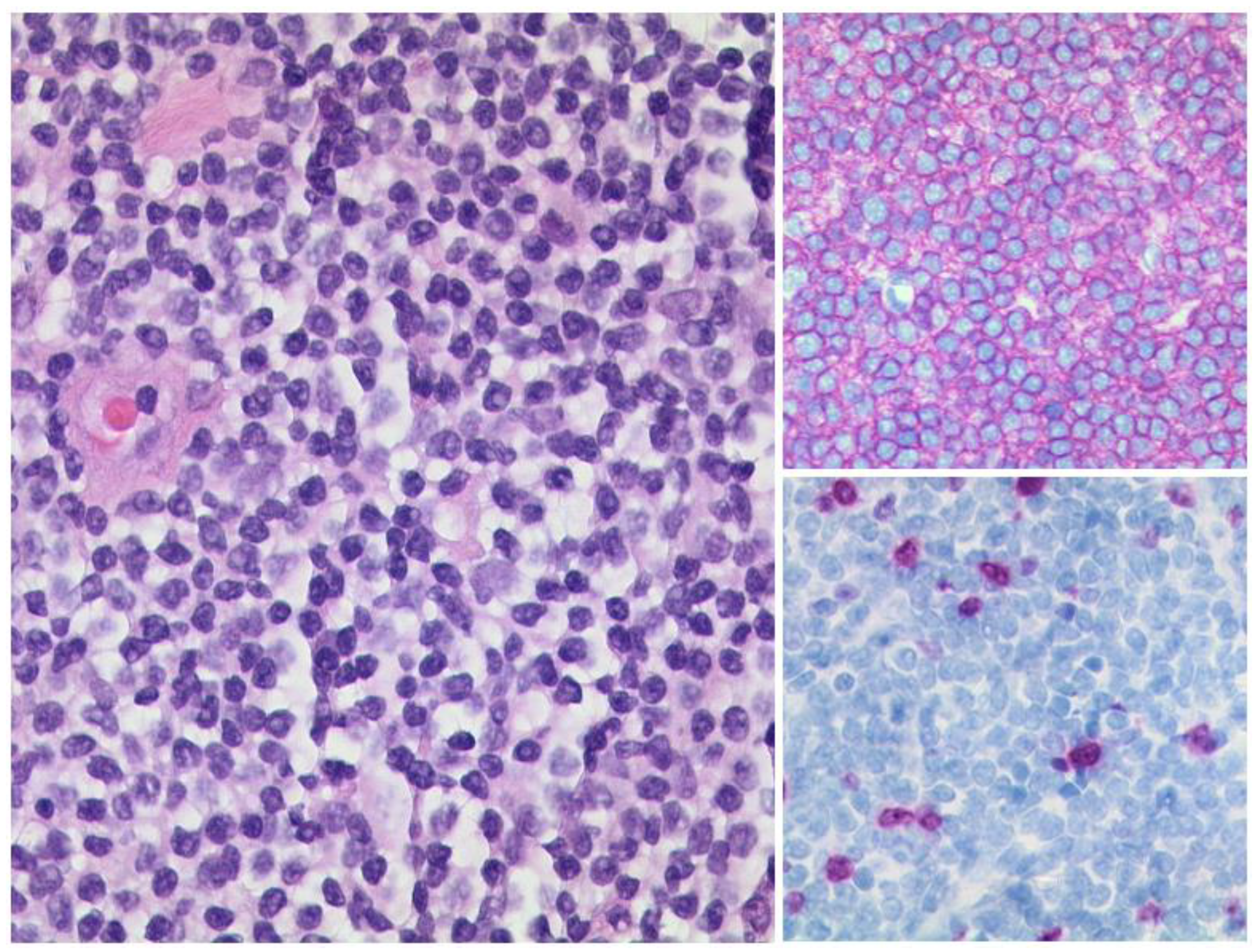 Diagnostics 12 02376 g011