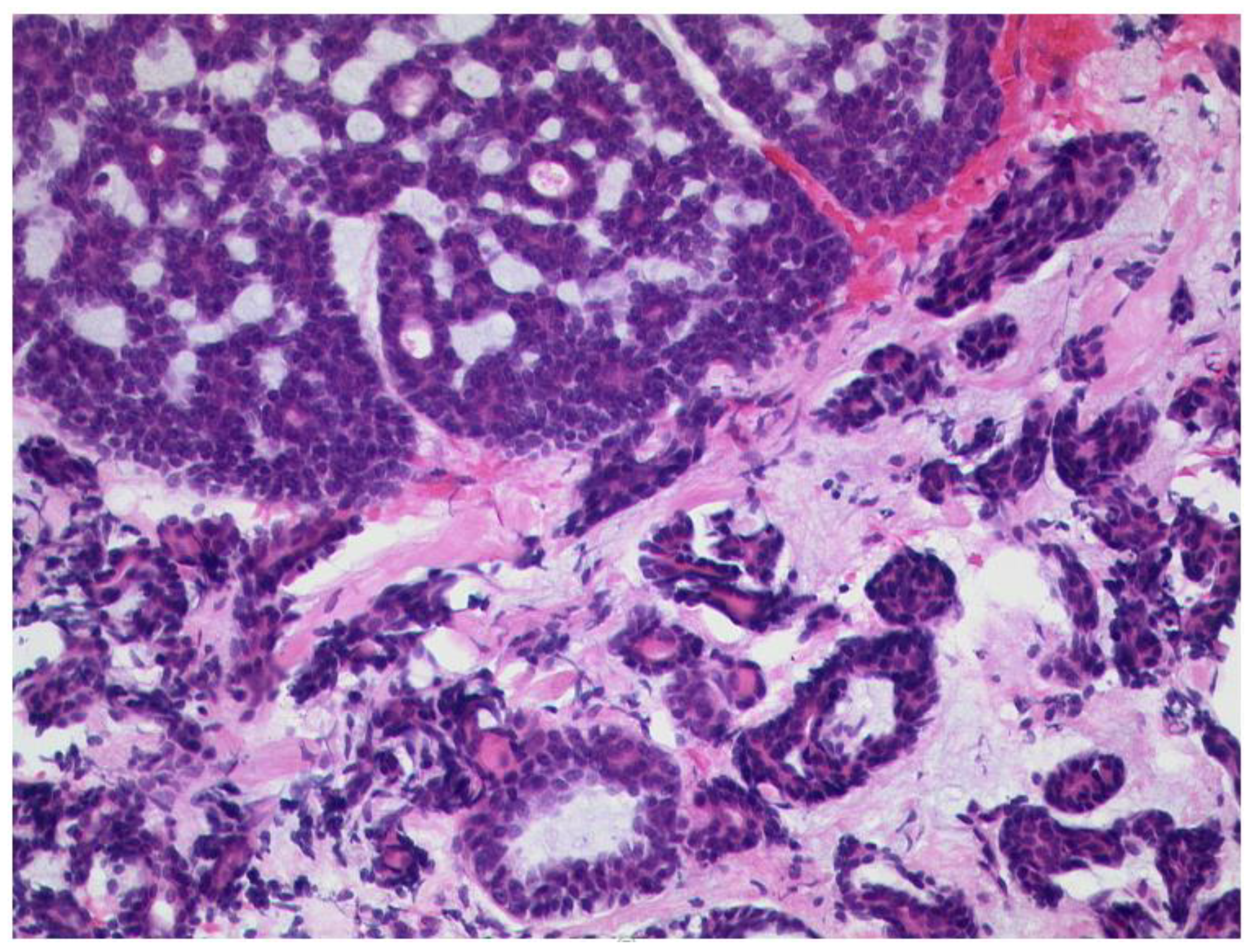 Diagnostics 12 02376 g013