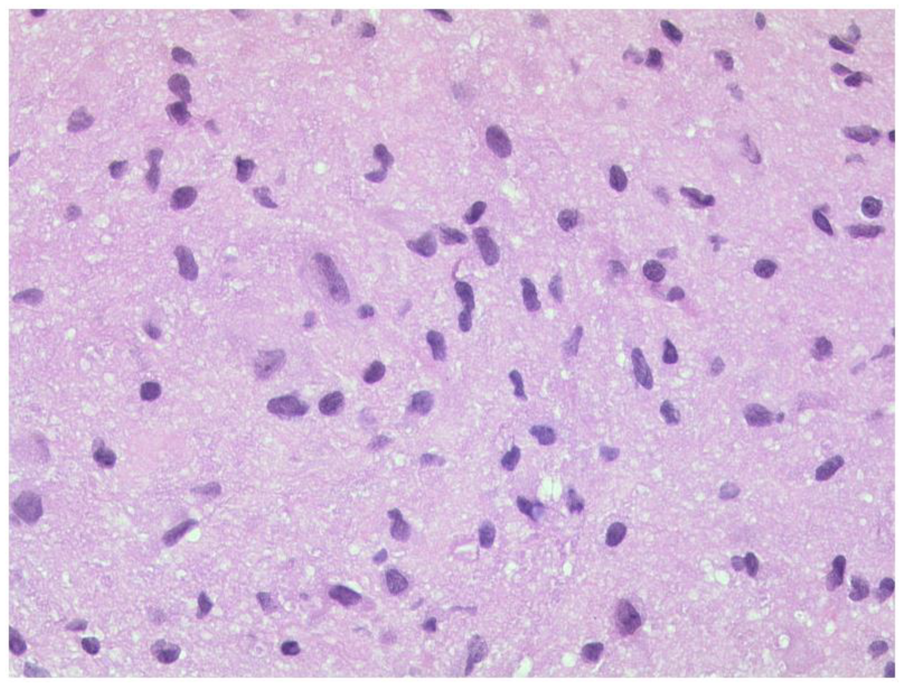 Diagnostics 12 02376 g017