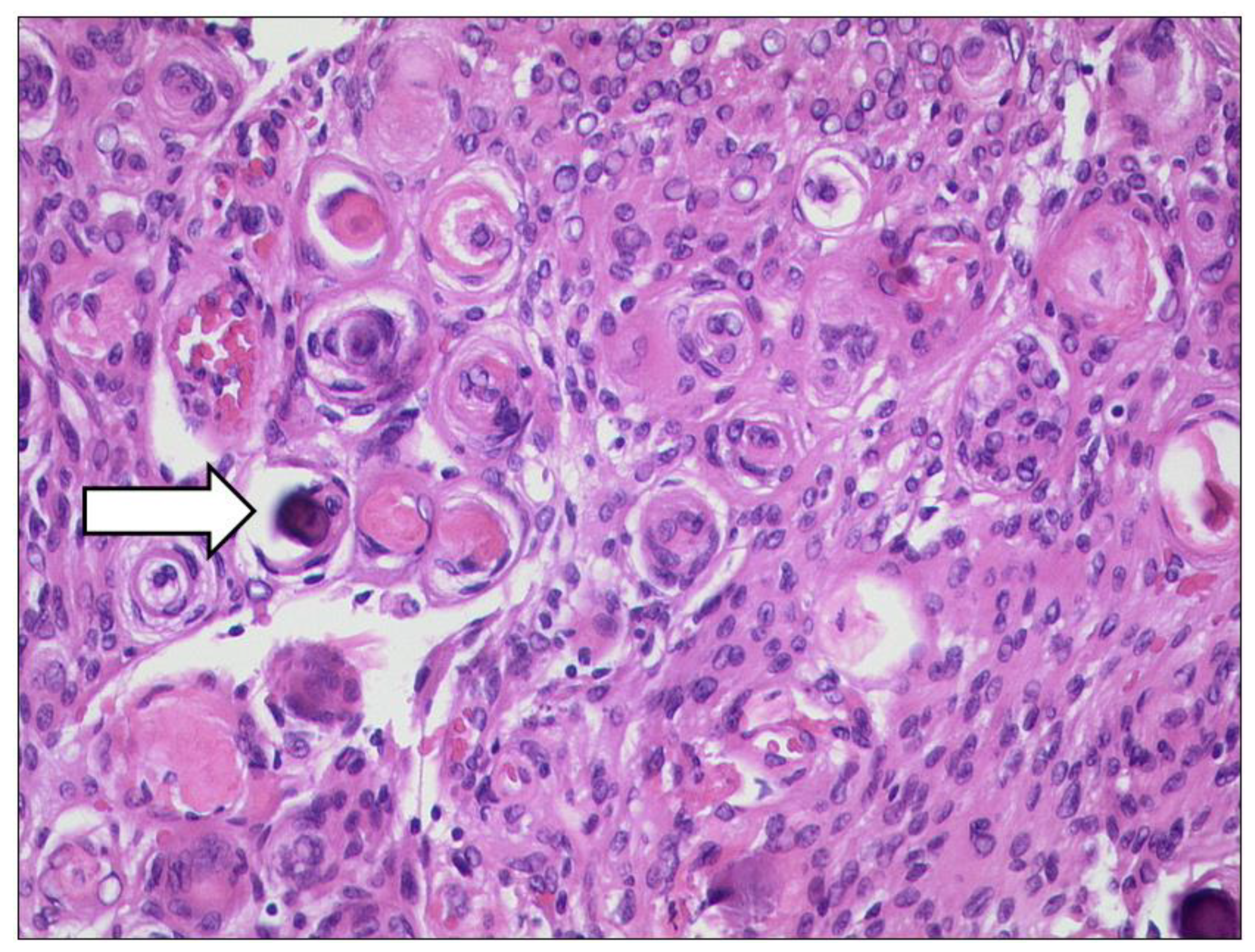 Diagnostics 12 02376 g019