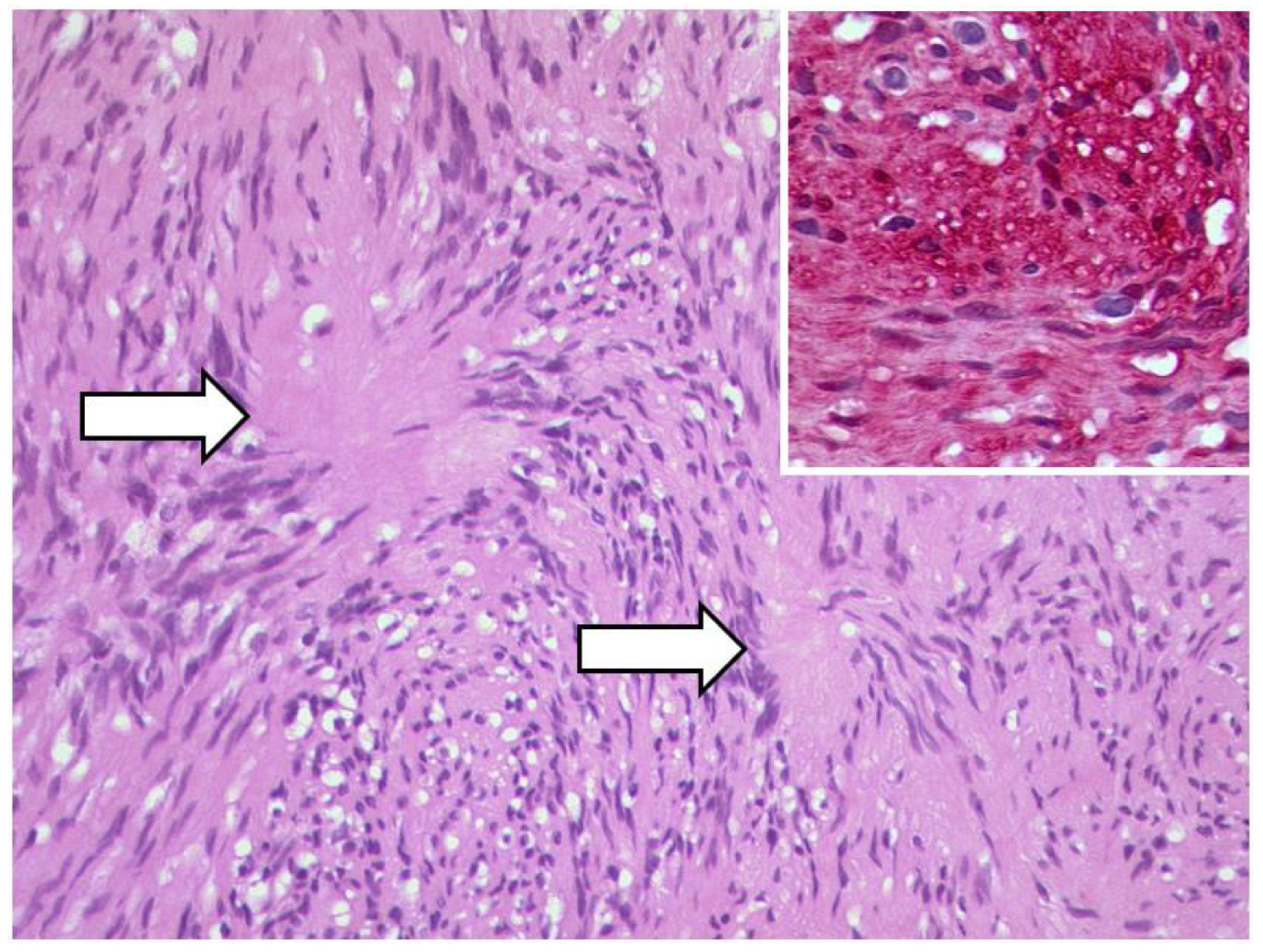 Diagnostics 12 02376 g021