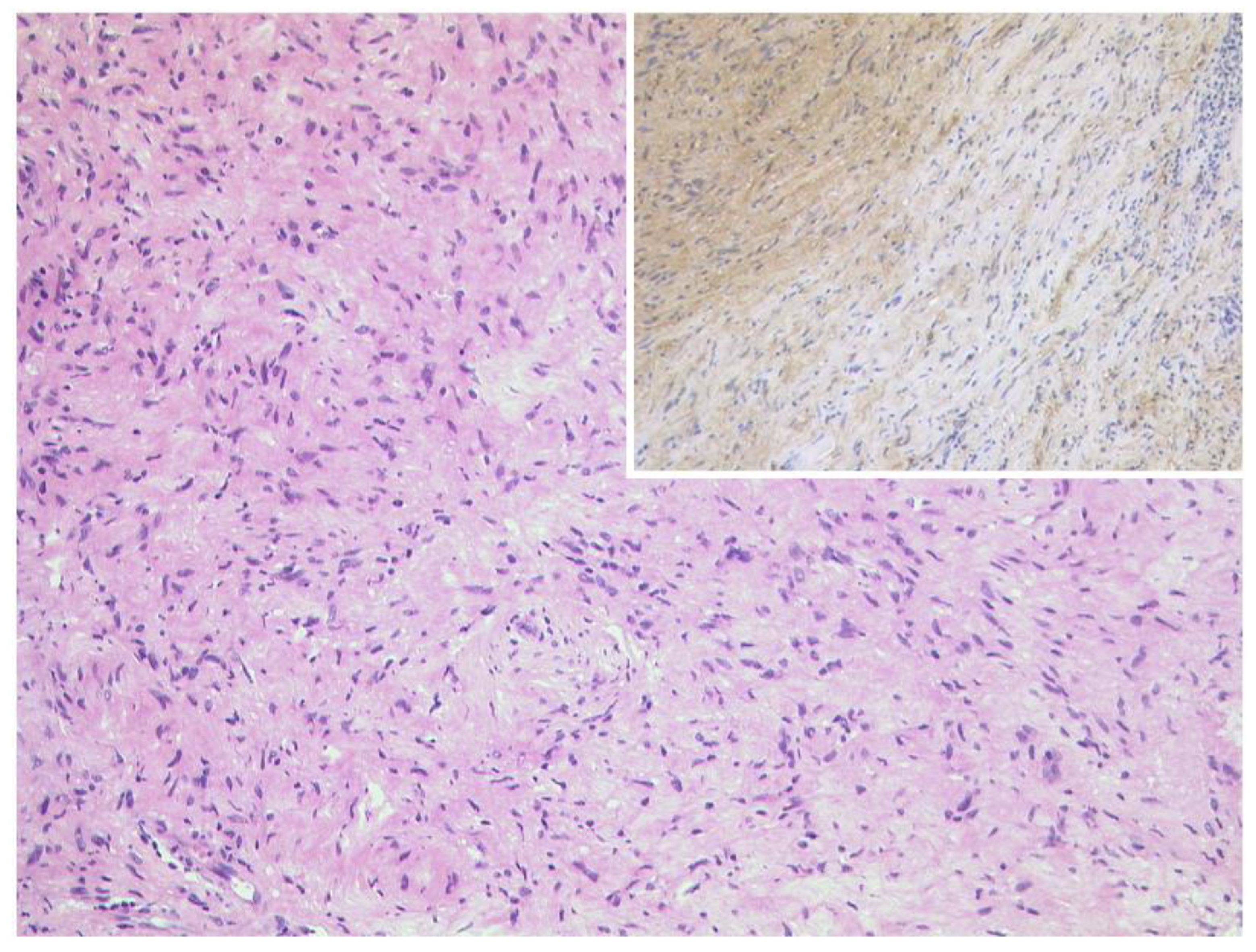 Diagnostics 12 02376 g023