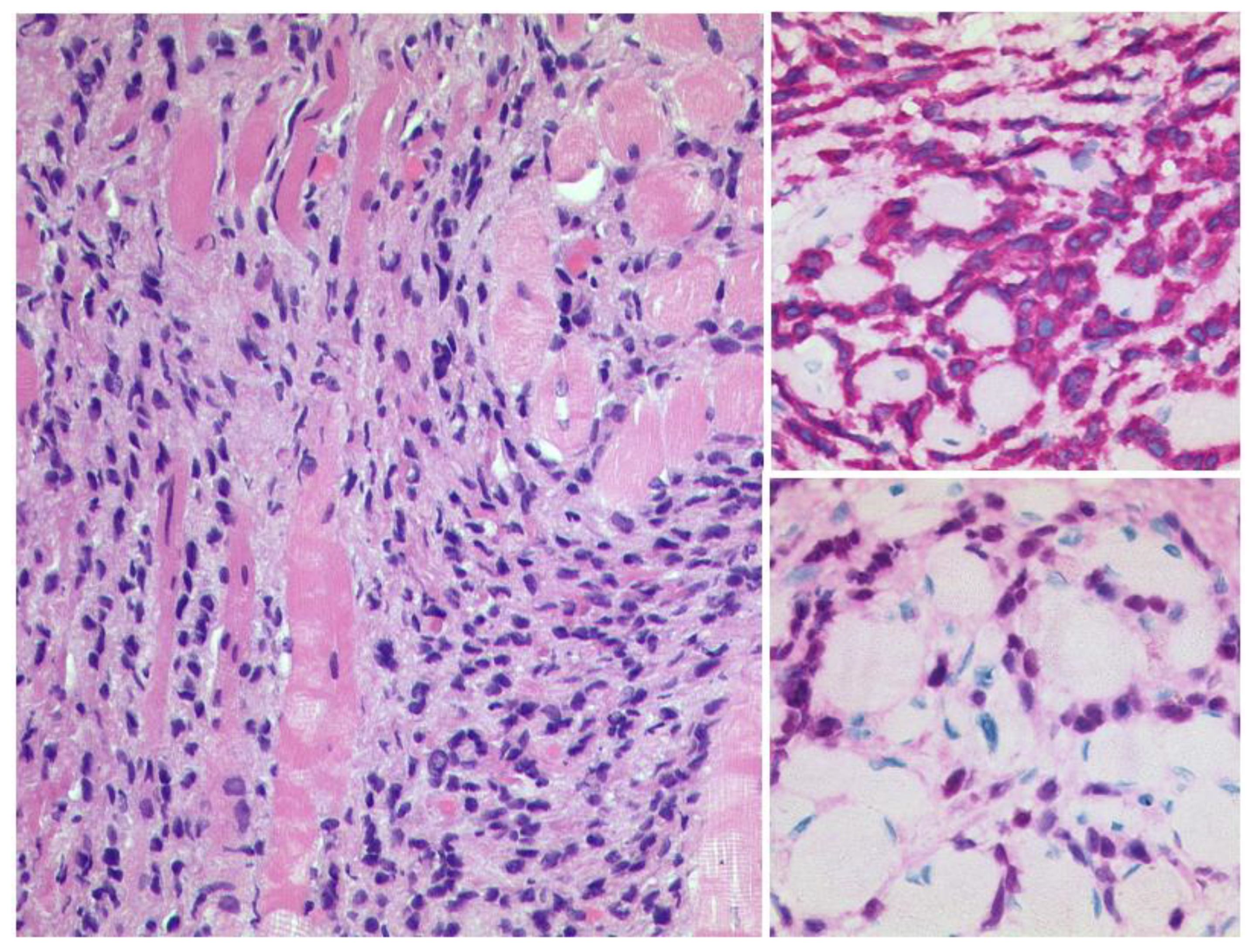 Diagnostics 12 02376 g025