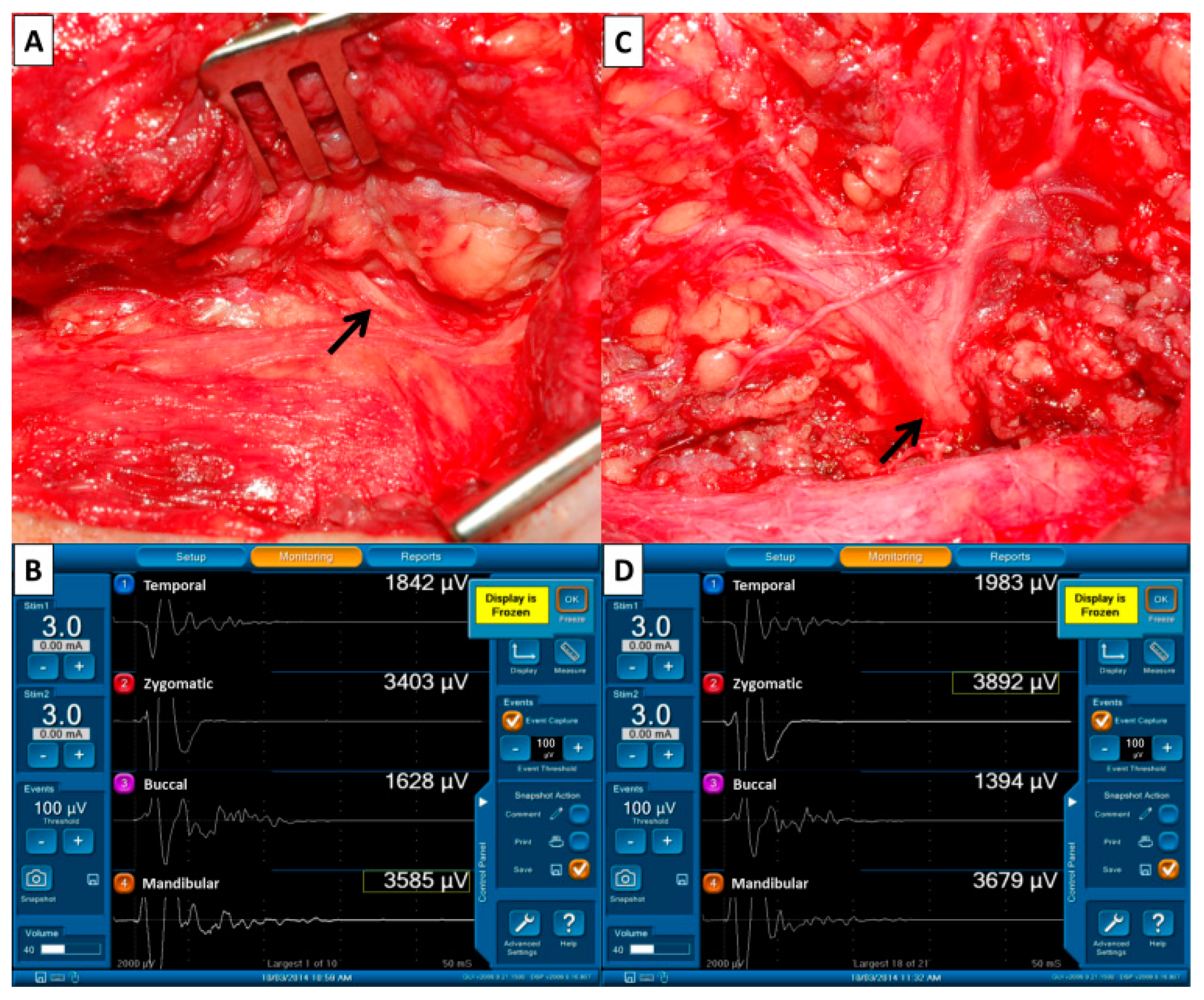 Diagnostics 12 02387 g002