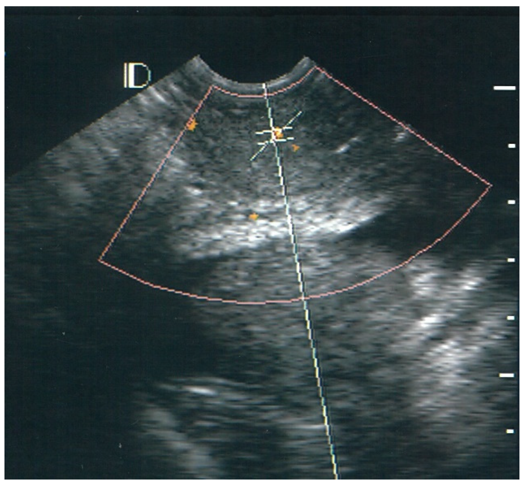 Diagnostics 12 02390 g001
