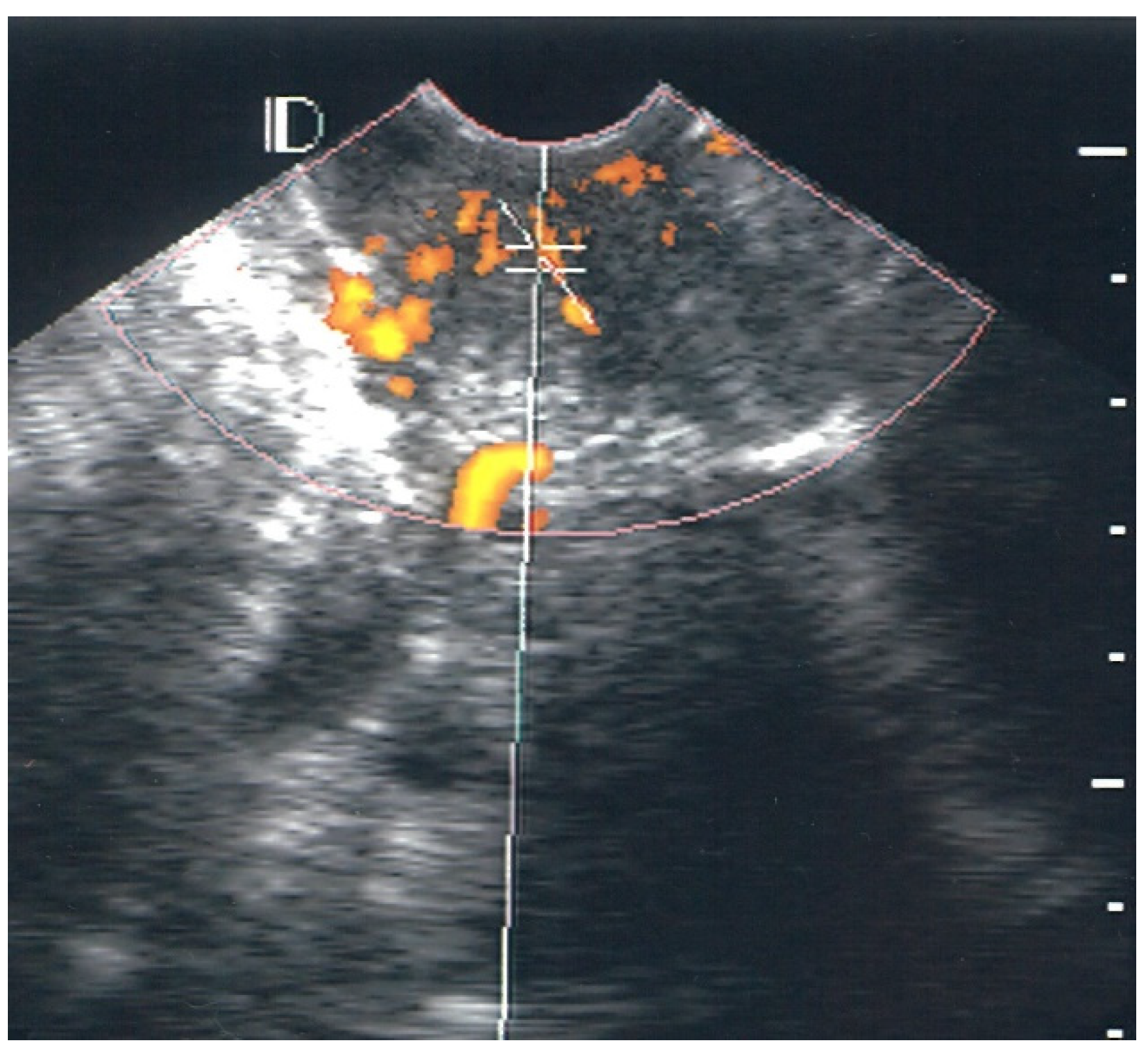 Diagnostics 12 02390 g003