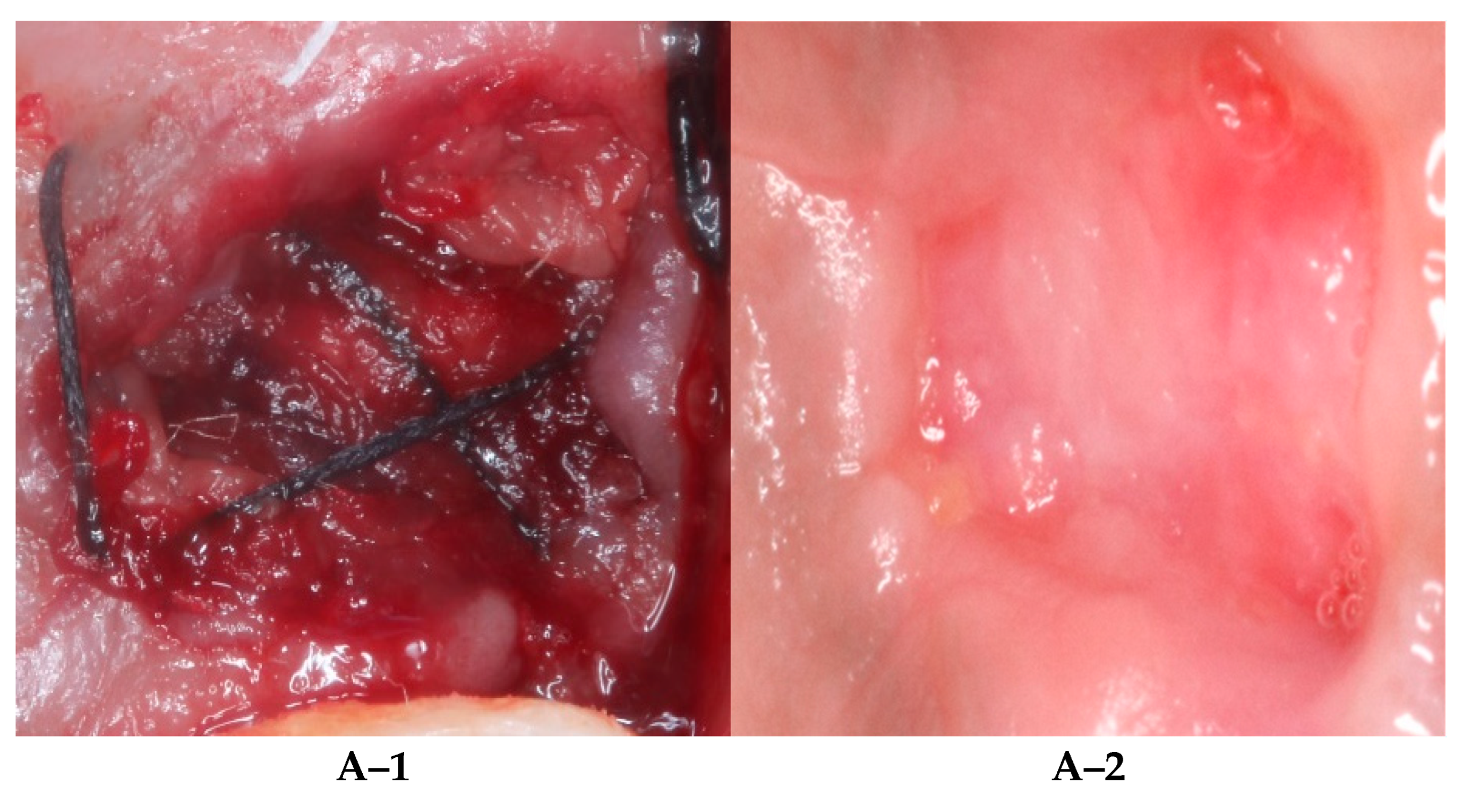 Diagnostics 12 02403 g001a