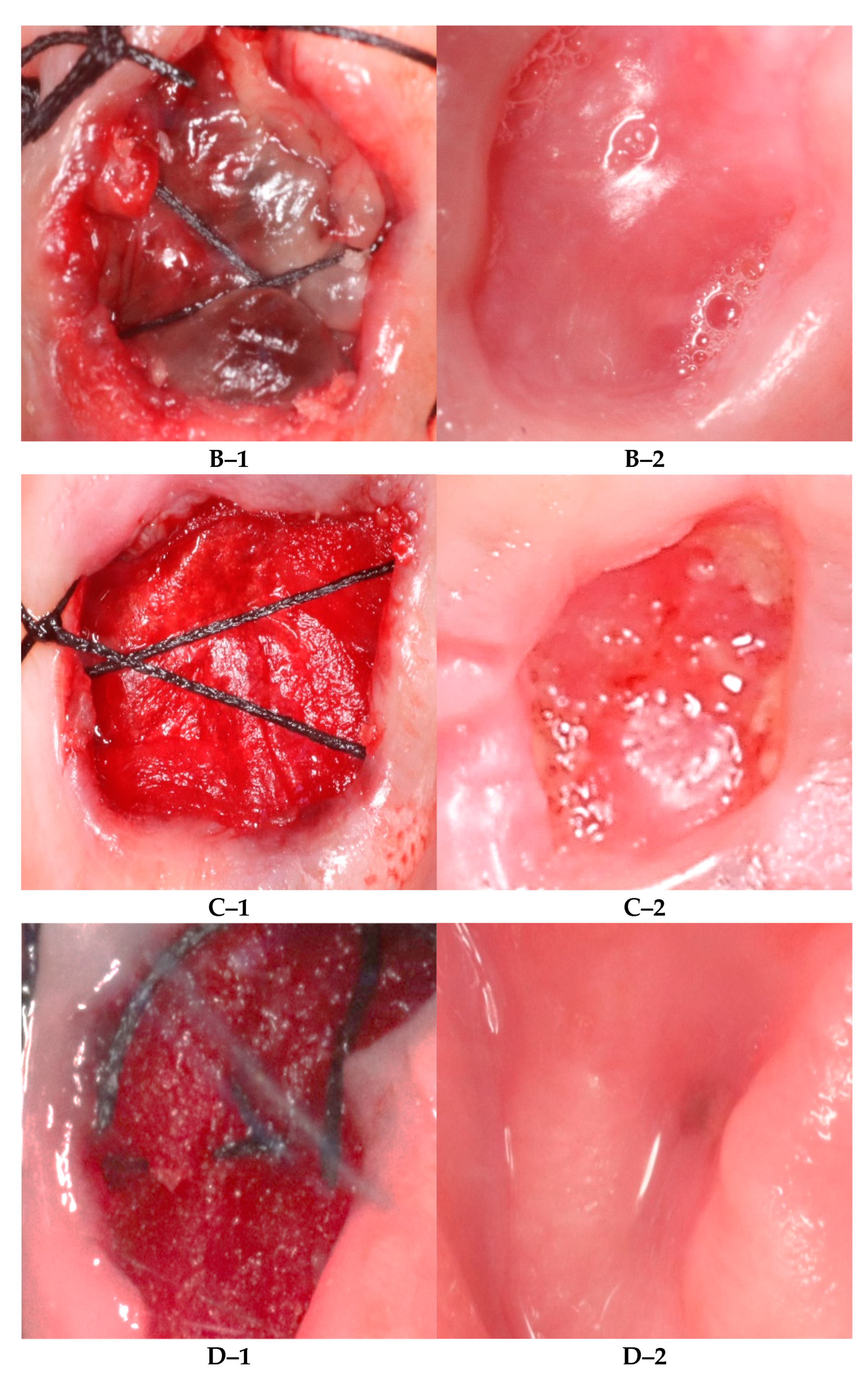 Diagnostics 12 02403 g001b