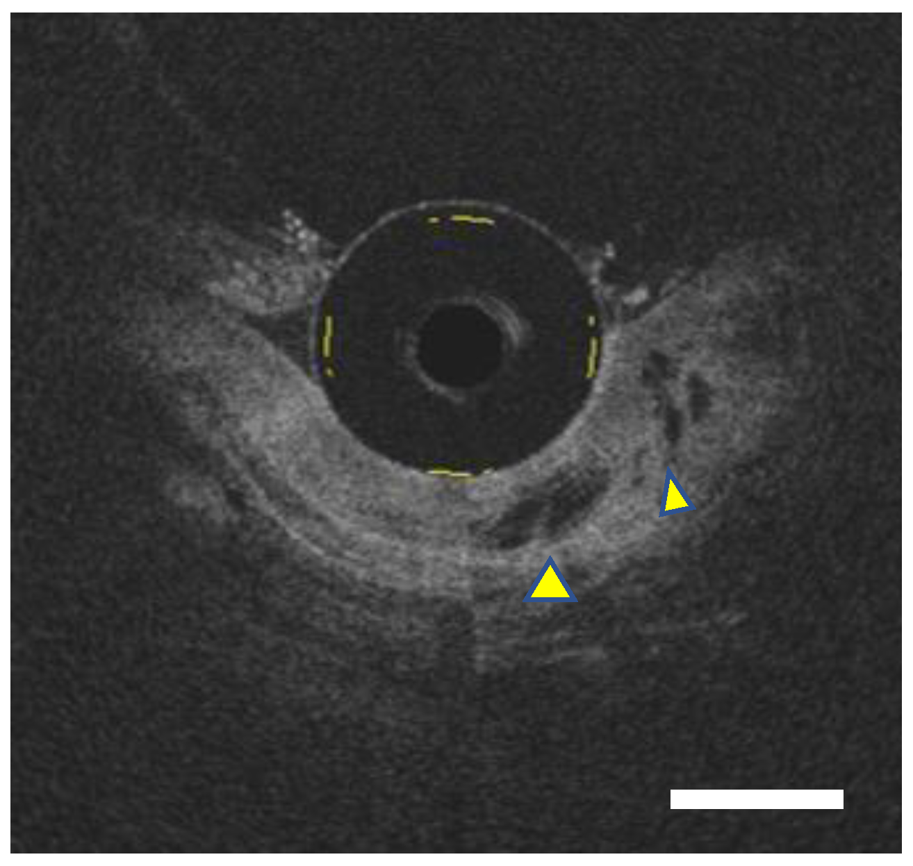 Diagnostics 12 02437 g001