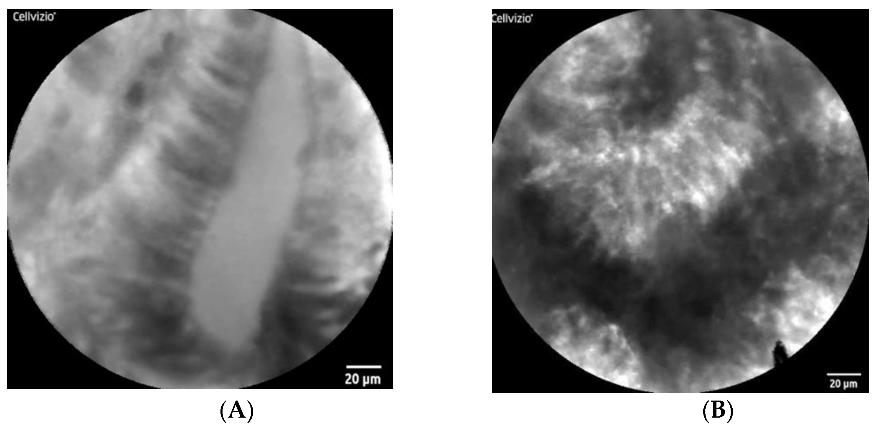 Diagnostics 12 02437 g003