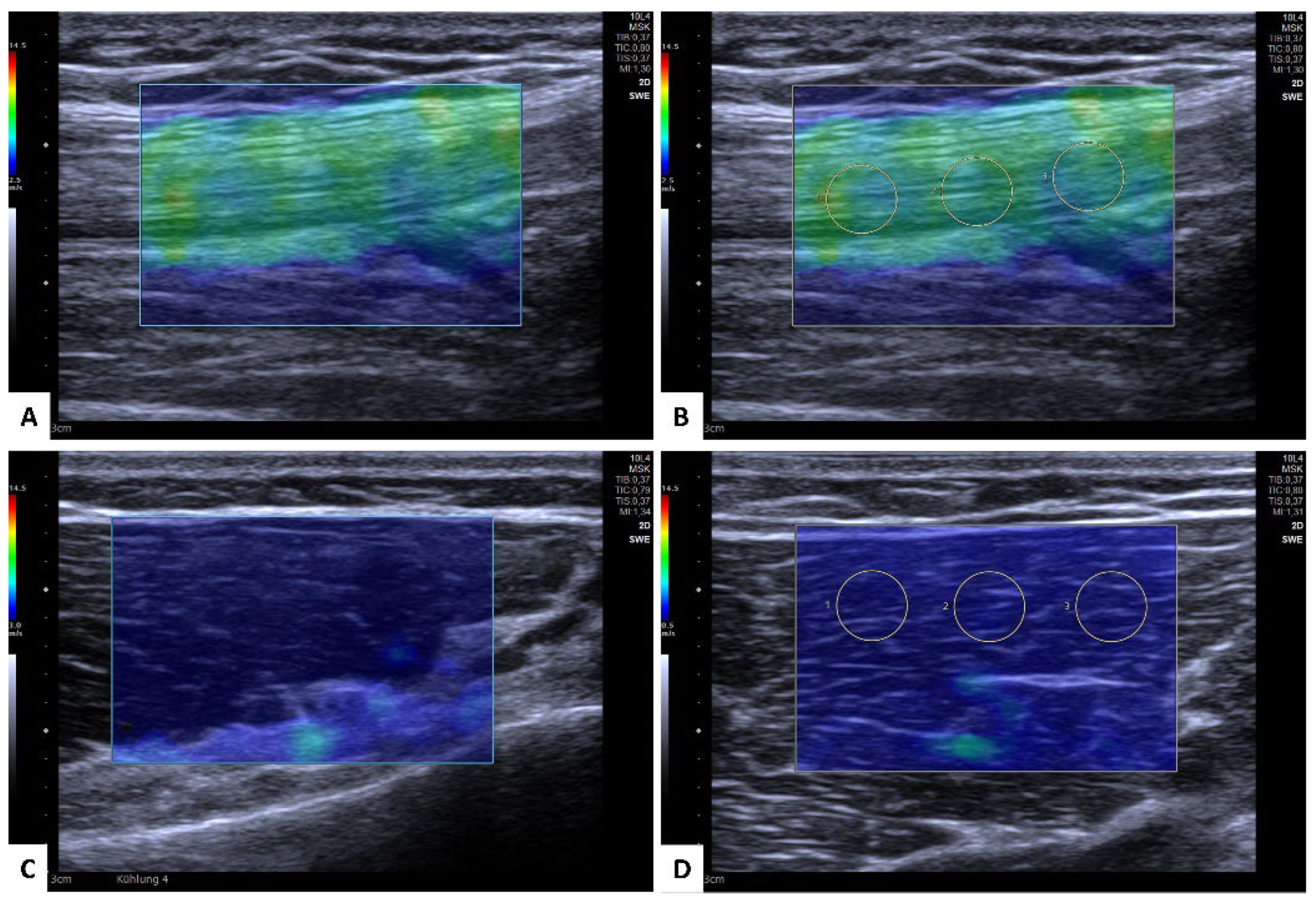 Diagnostics 12 02453 g002