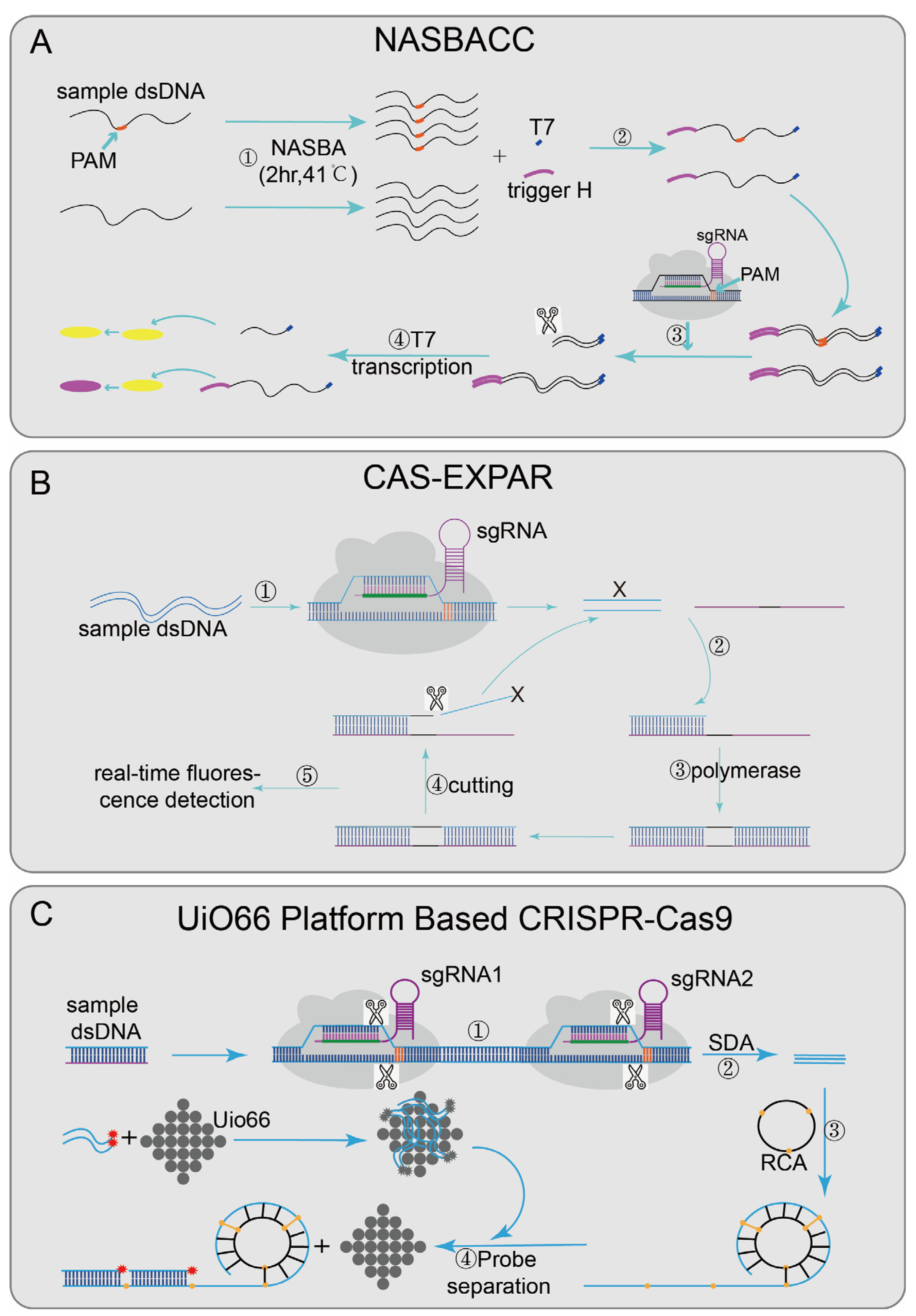 Diagnostics 12 02455 g002