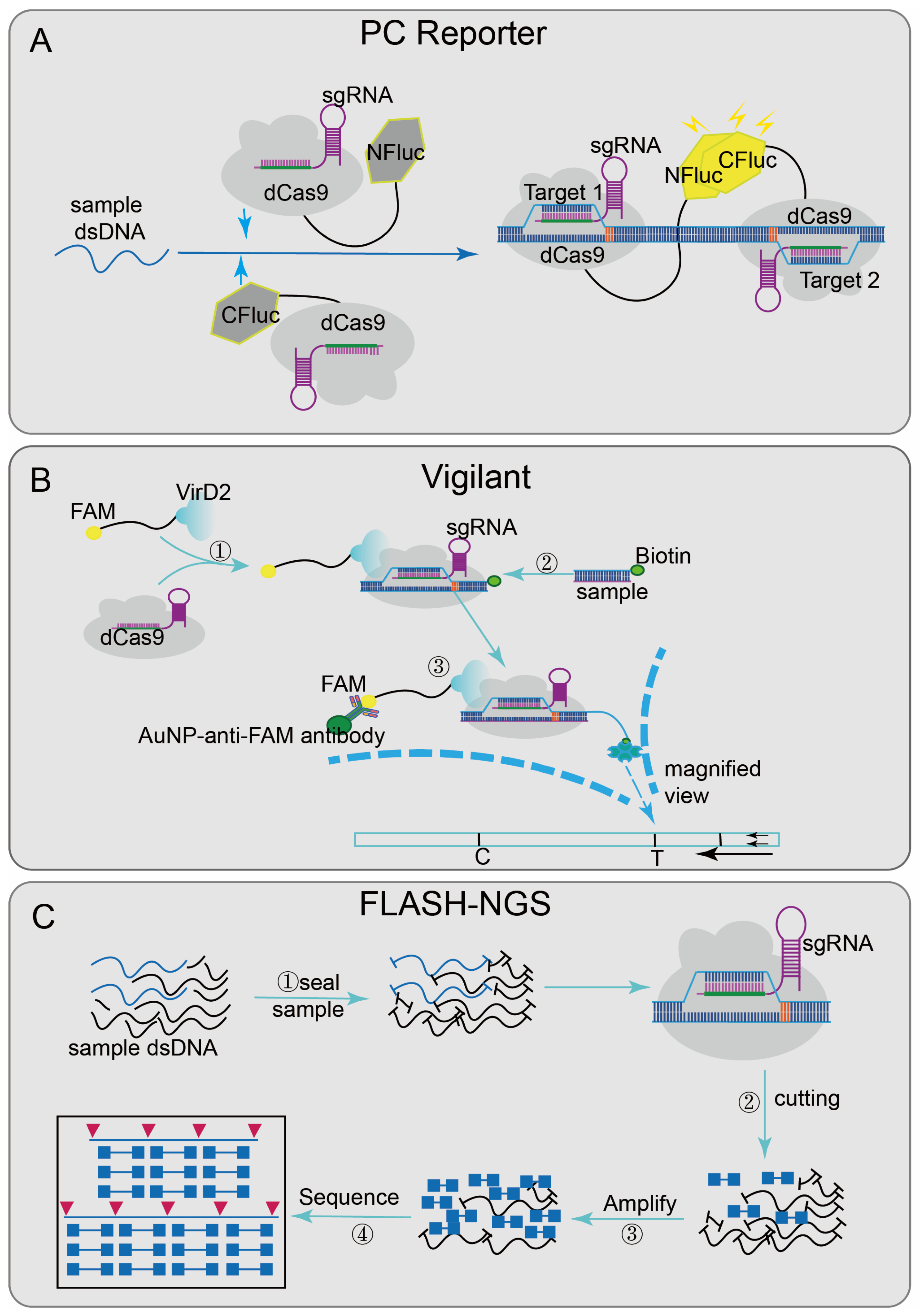 Diagnostics 12 02455 g003