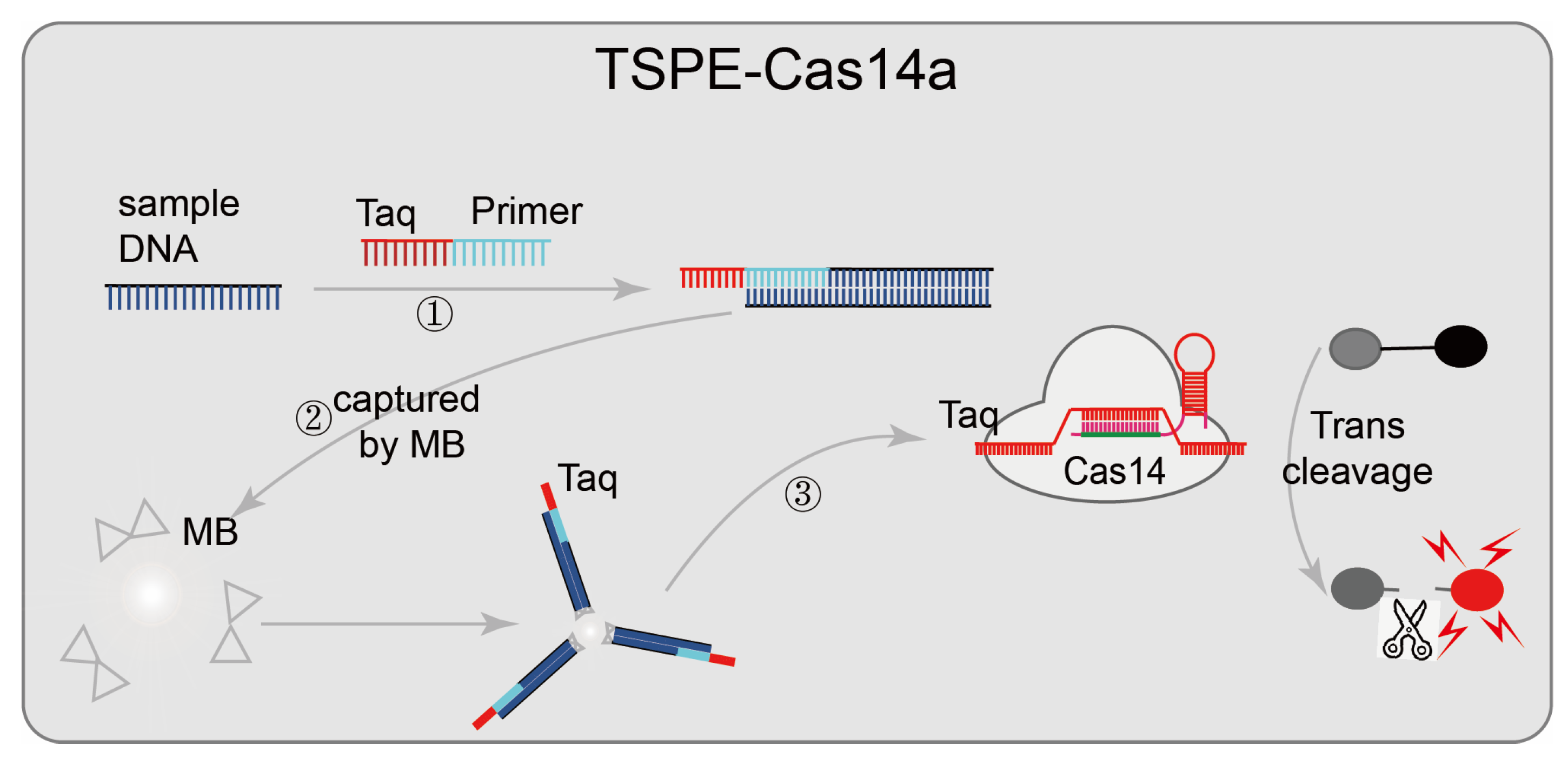 Diagnostics 12 02455 g006