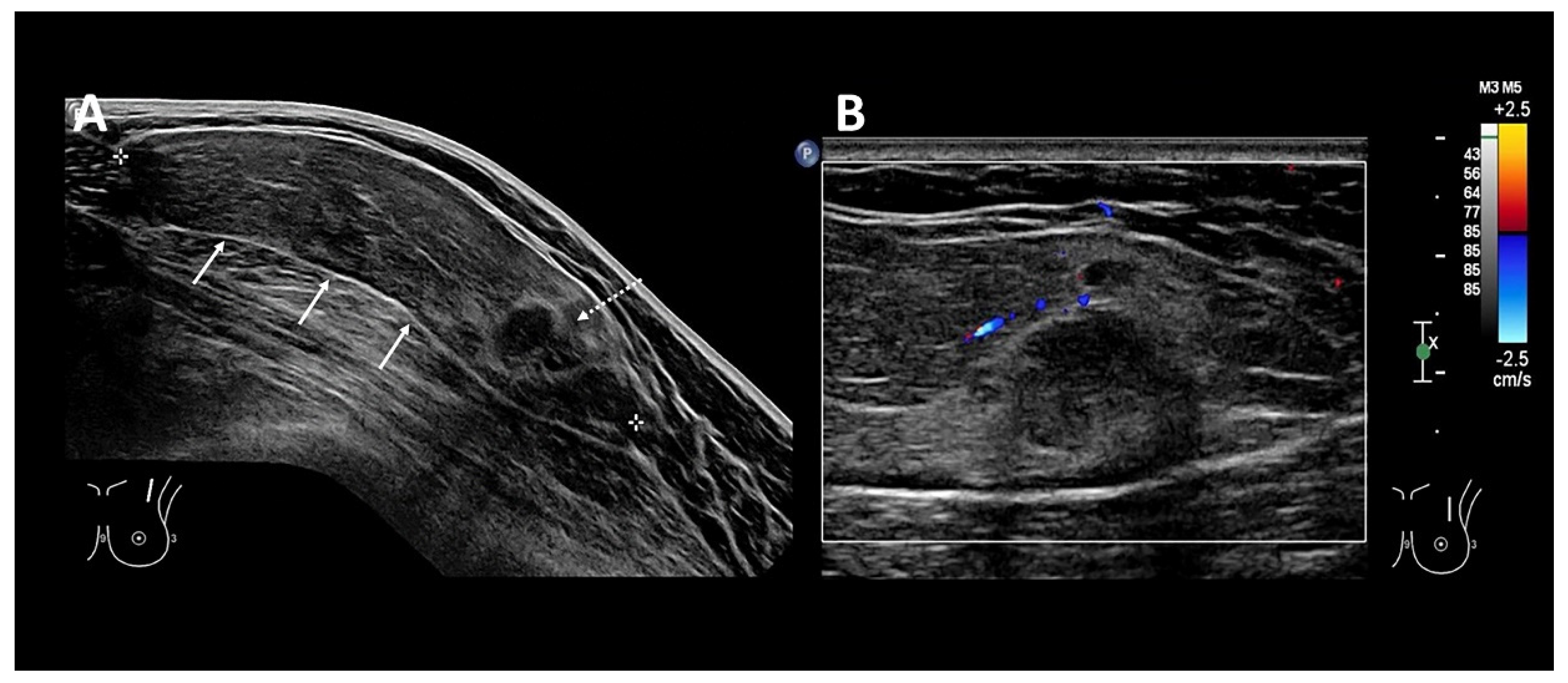 Diagnostics 12 02456 g001