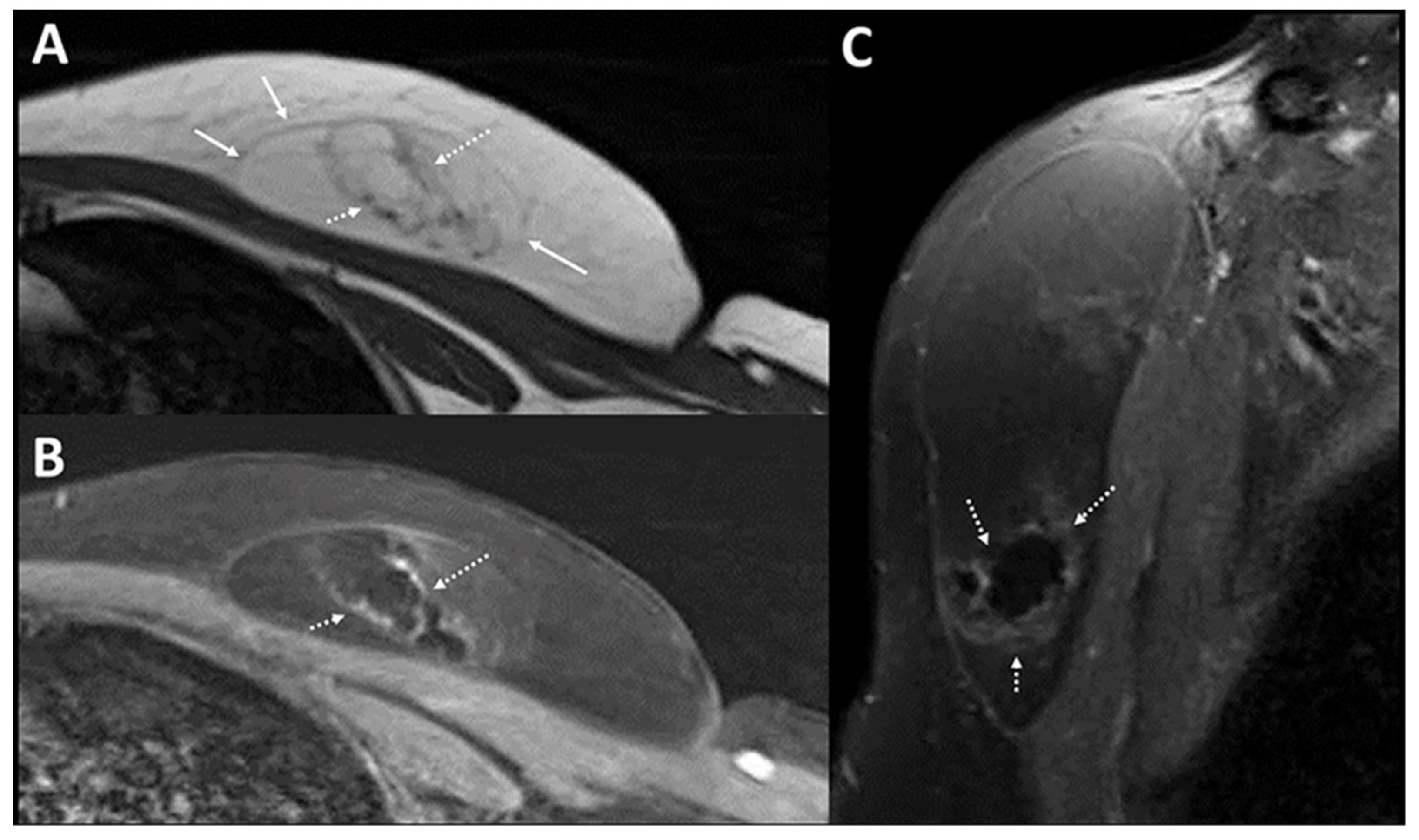 Diagnostics 12 02456 g002