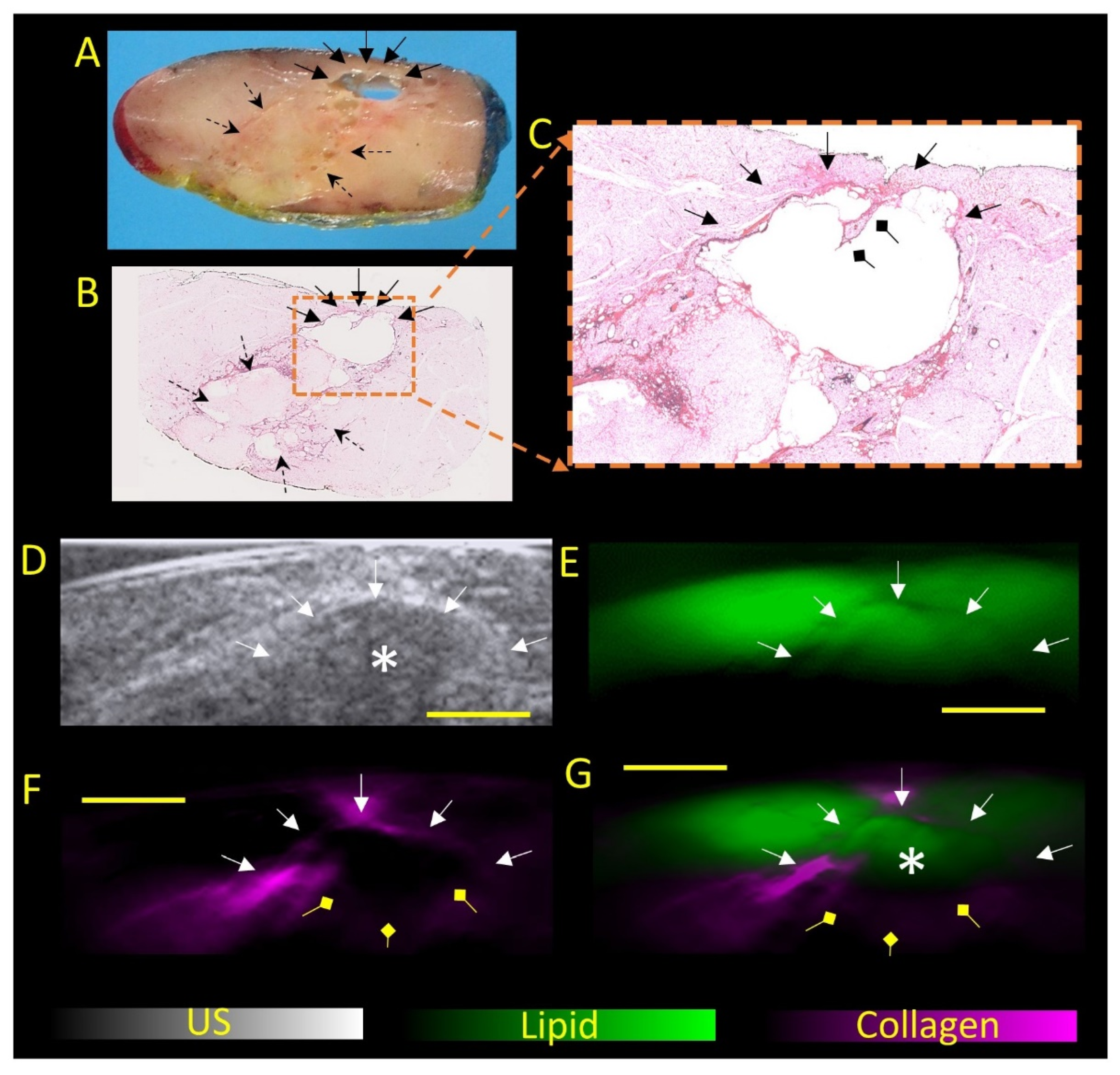 Diagnostics 12 02456 g003