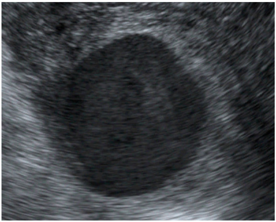 Diagnostics 12 02459 g001