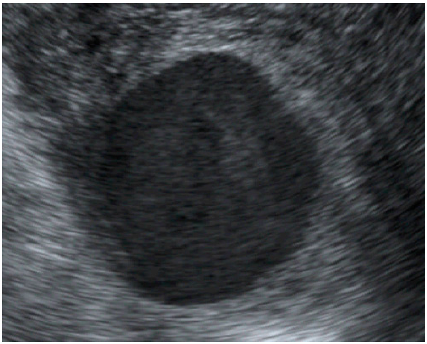 Diagnostics 12 02459 g001