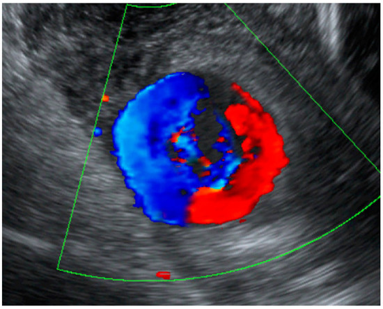 Diagnostics 12 02459 g002