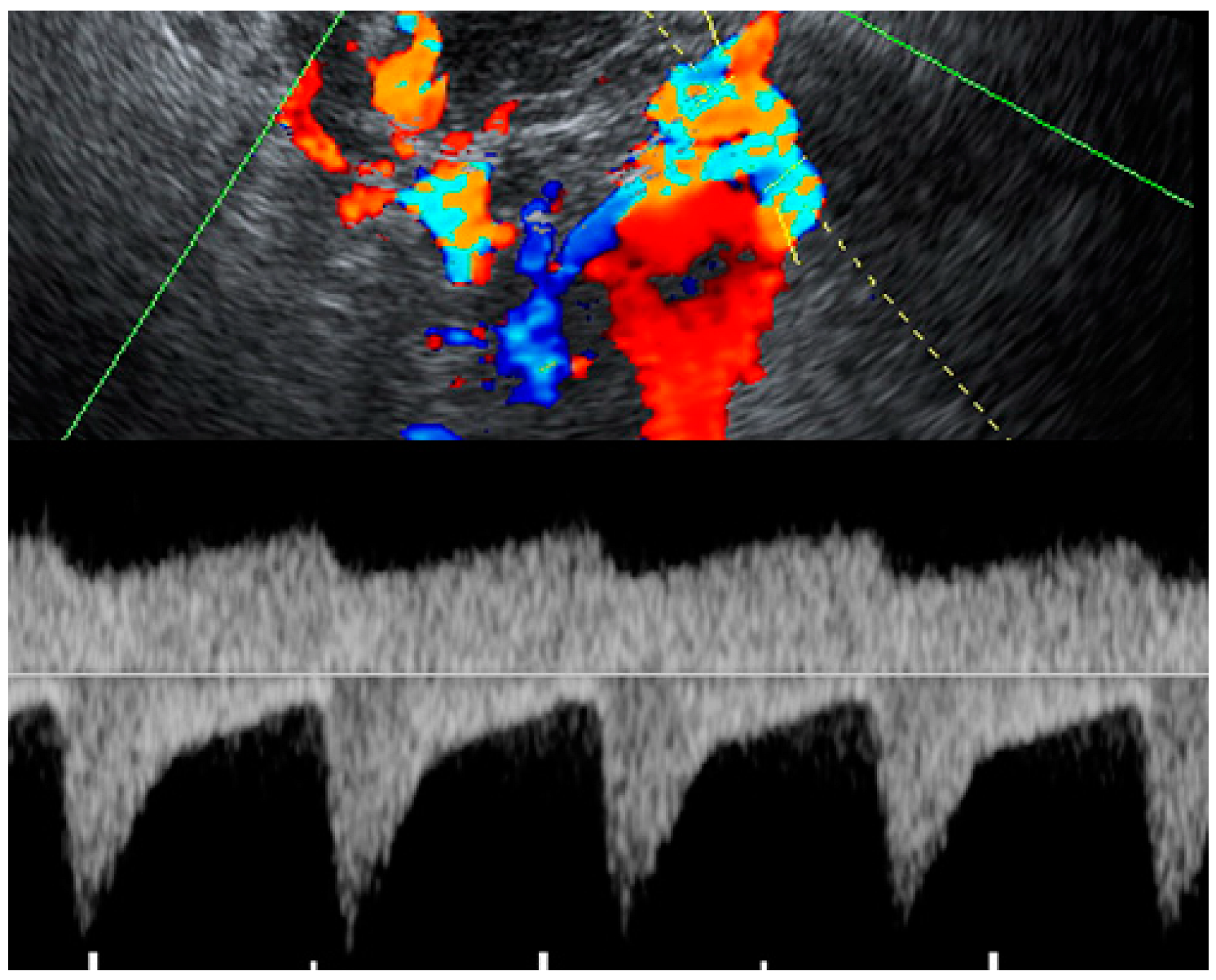 Diagnostics 12 02459 g003