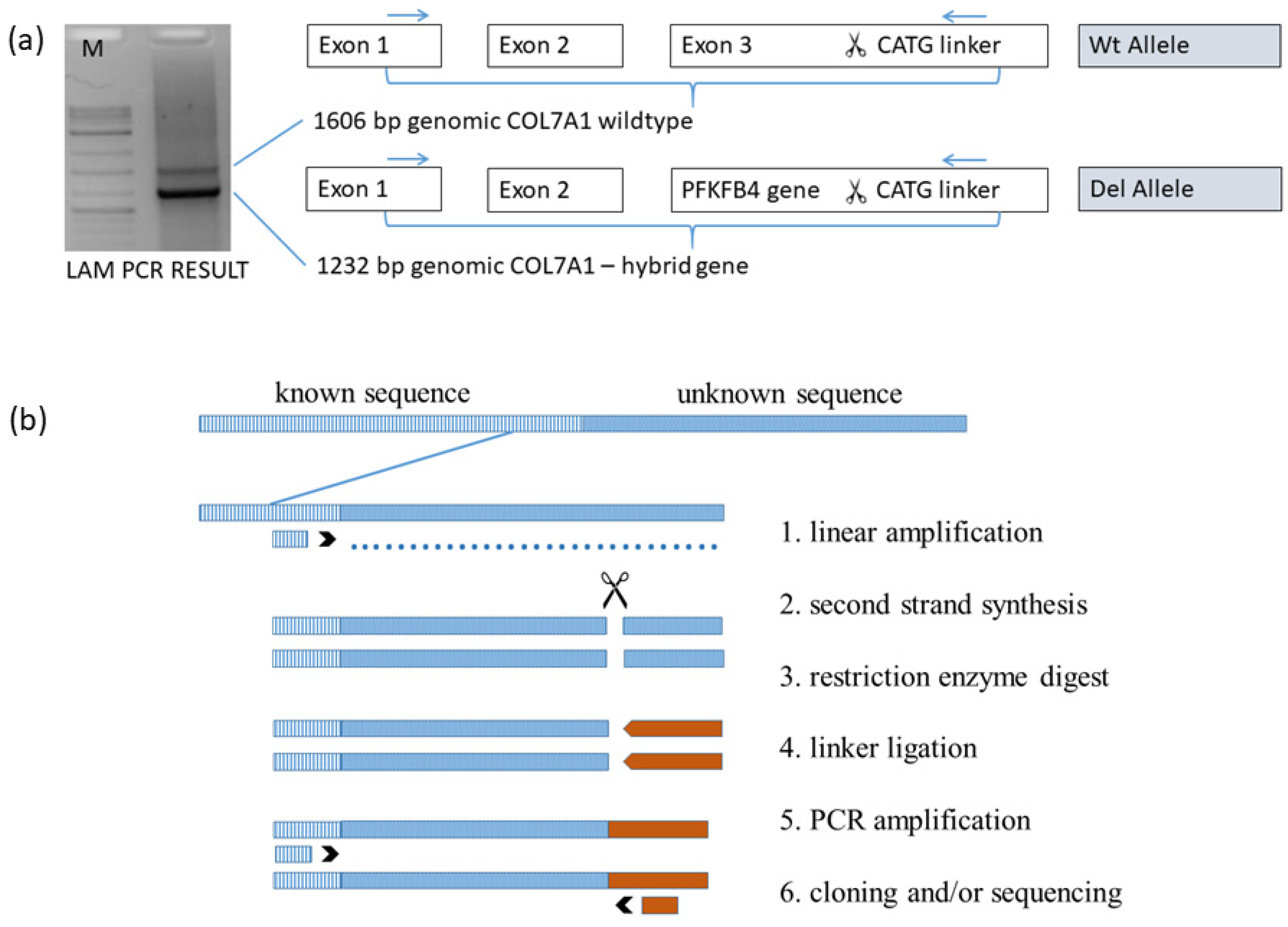 Diagnostics 12 02460 g002 Diagnostics 12 02460 g002