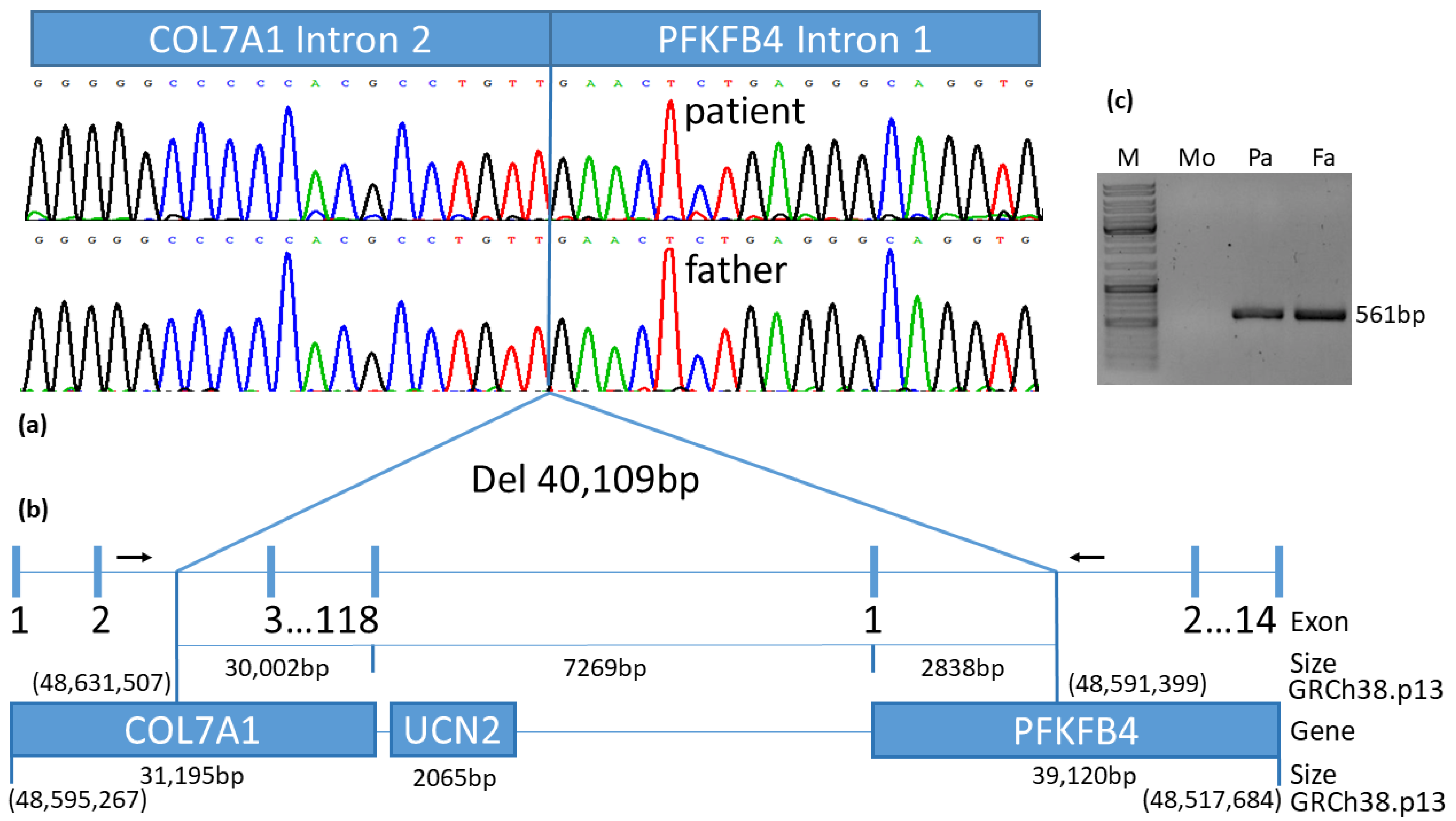 Diagnostics 12 02460 g004 Diagnostics 12 02460 g004