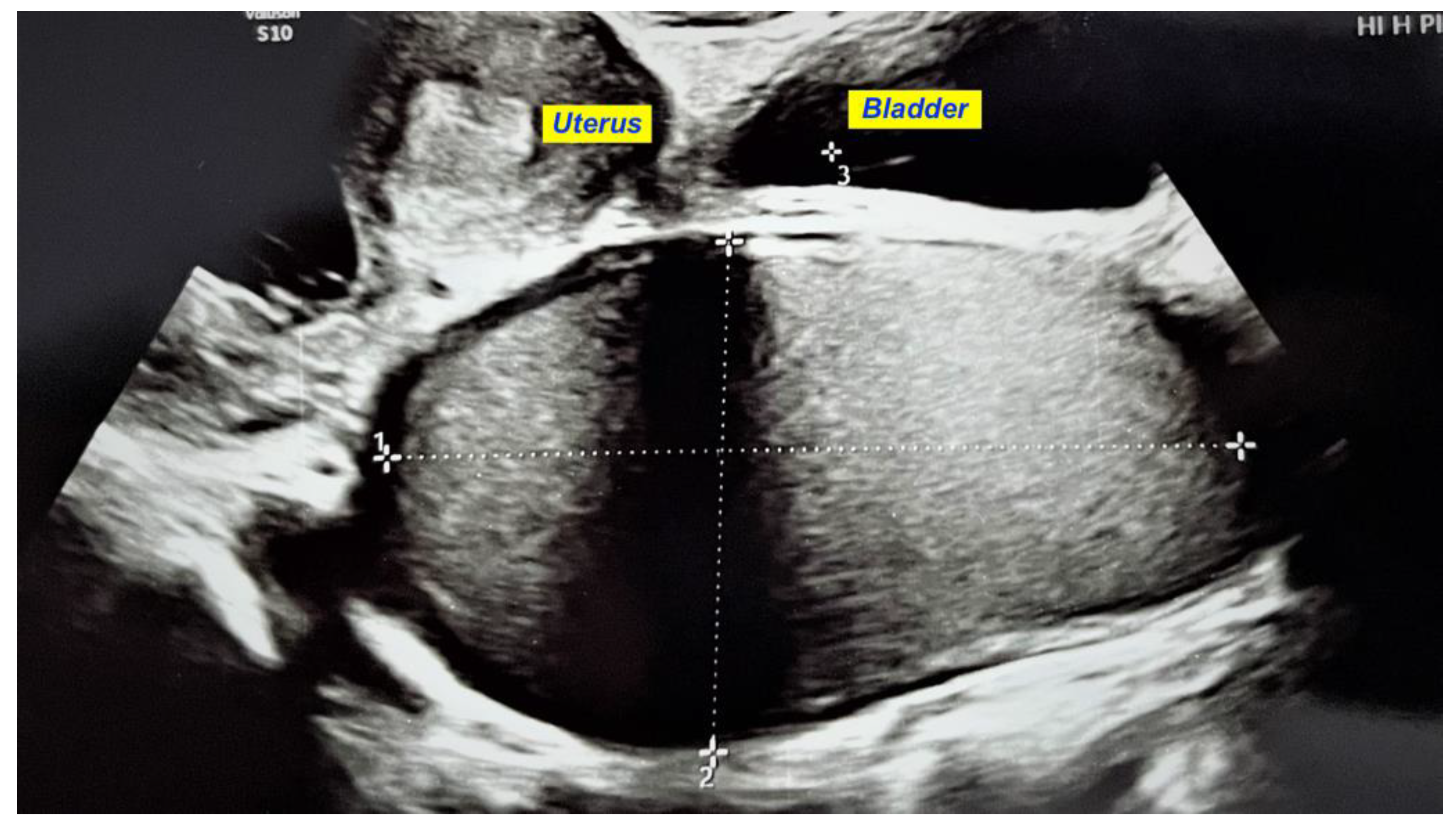 Diagnostics 12 02466 g001