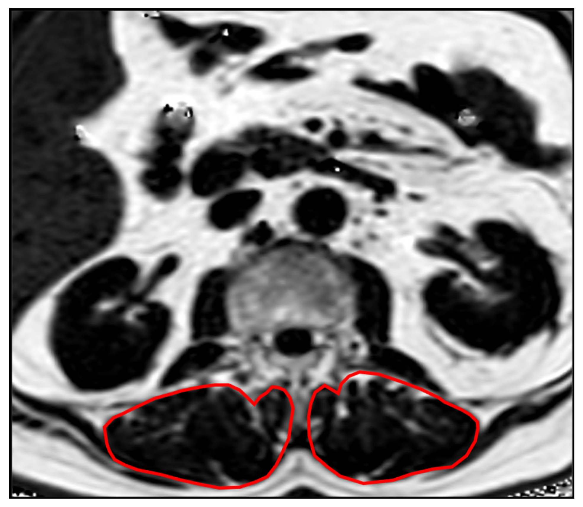 Diagnostics 12 02467 g001