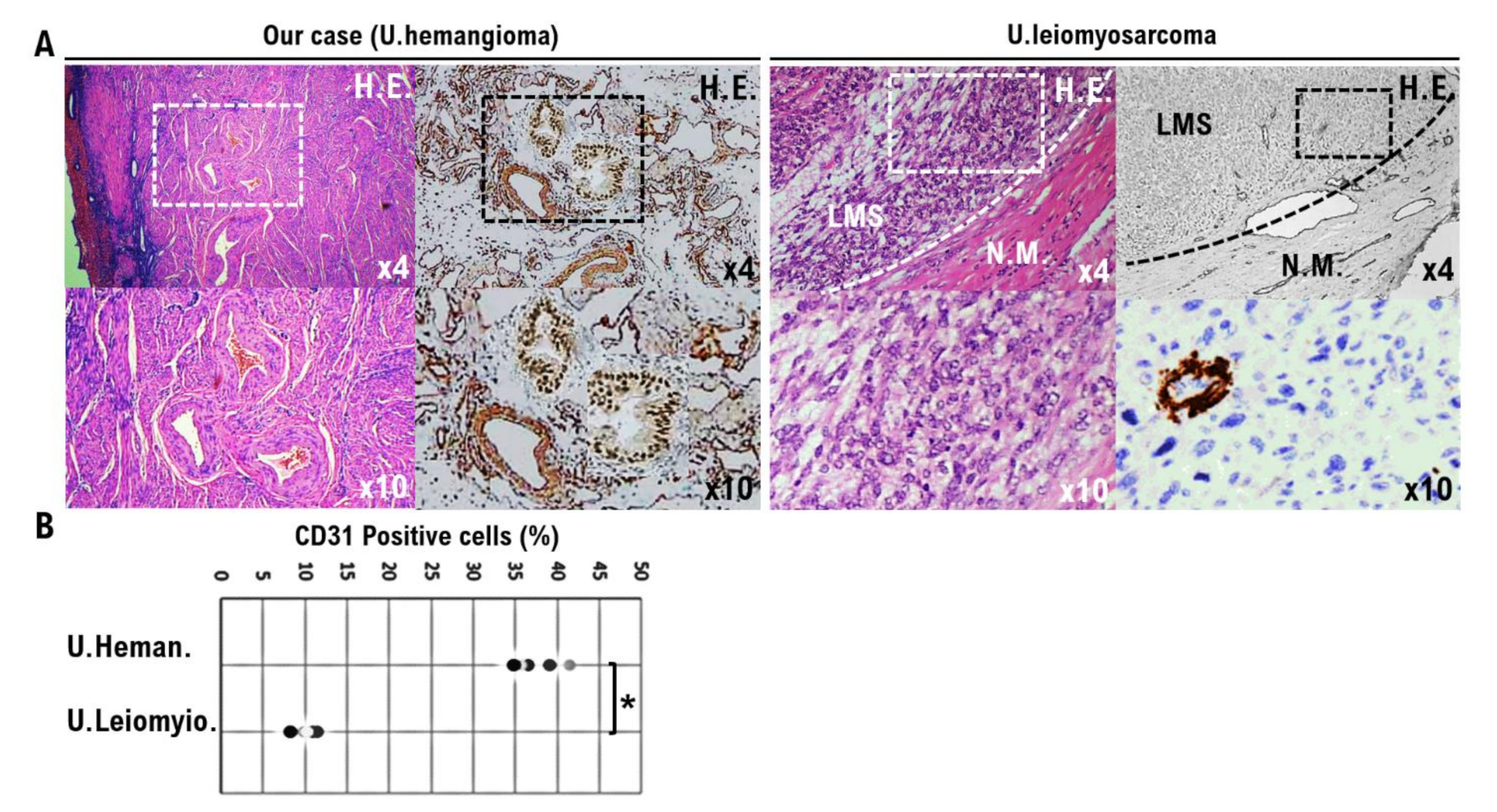 Diagnostics 12 02468 g003