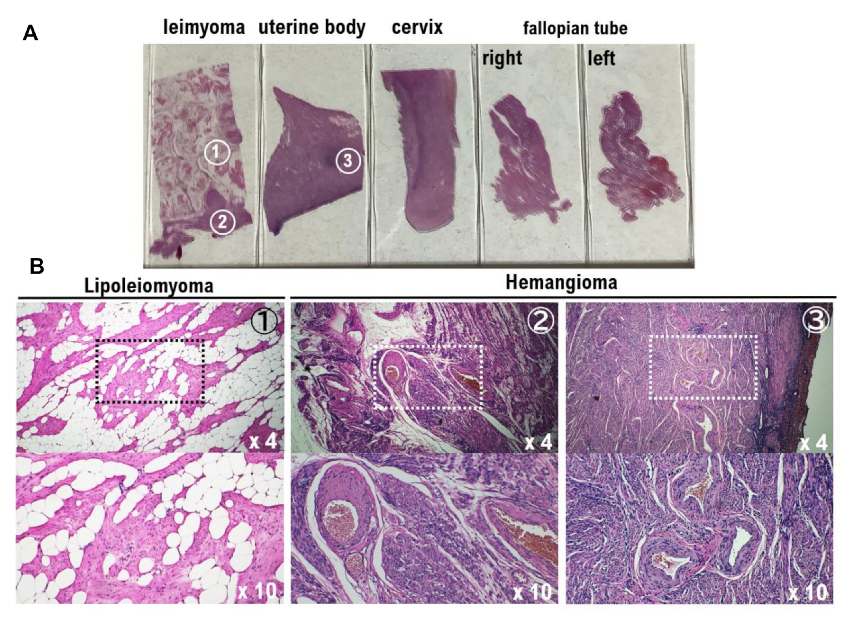Diagnostics 12 02468 g004