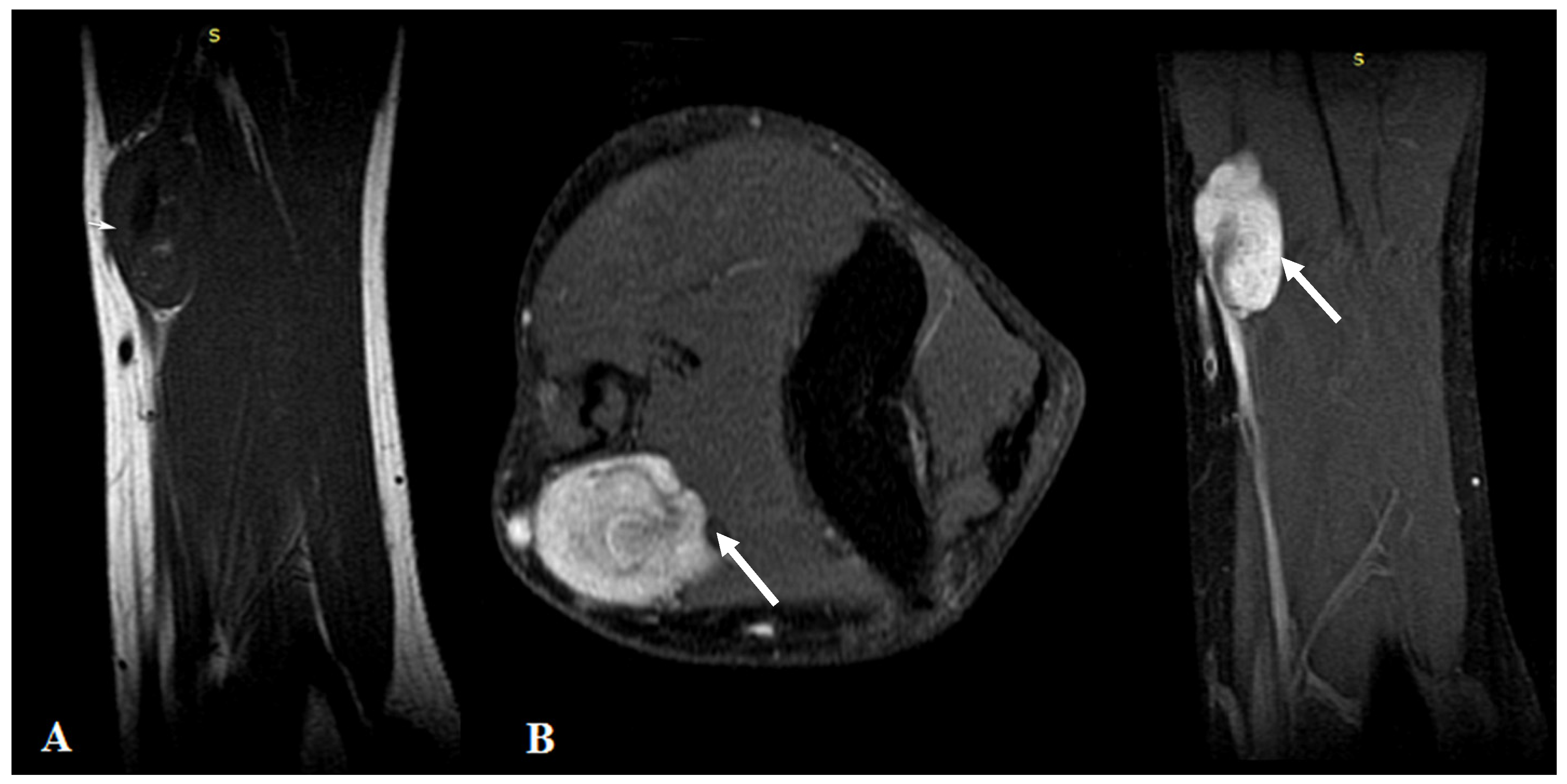 Diagnostics 12 02473 g001 Diagnostics 12 02473 g001