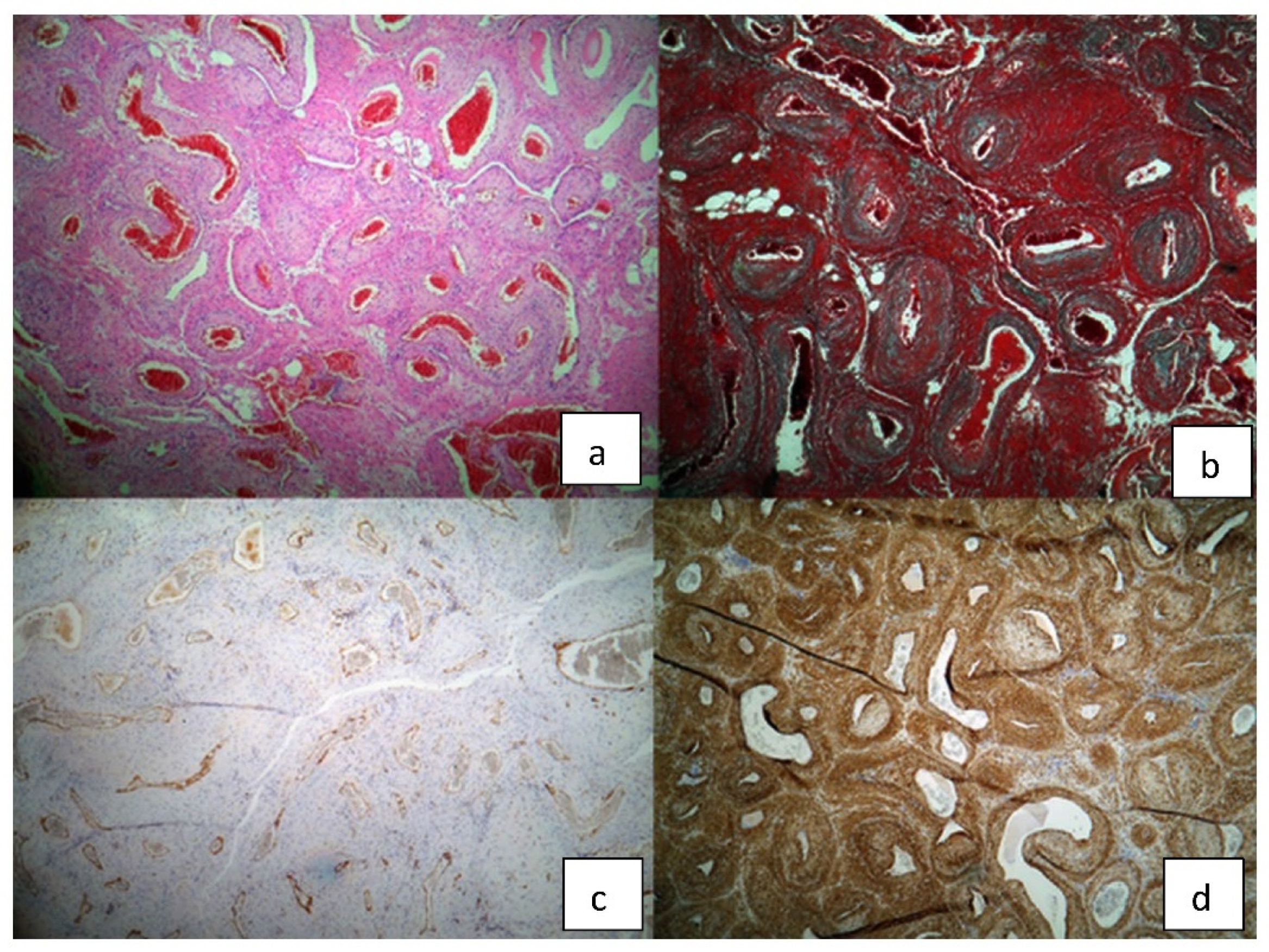 Diagnostics 12 02473 g005 Diagnostics 12 02473 g005