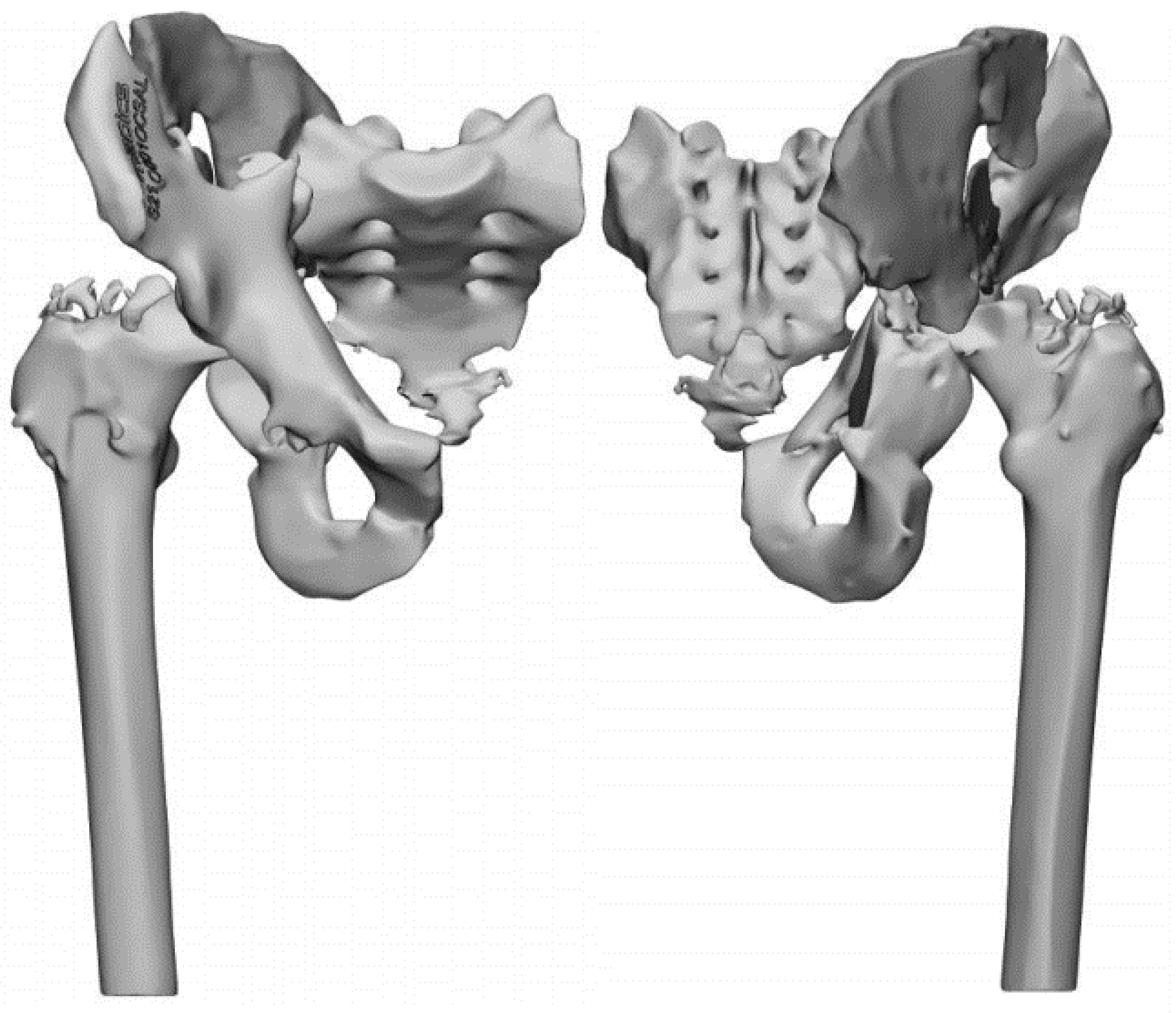Diagnostics 12 02476 g003