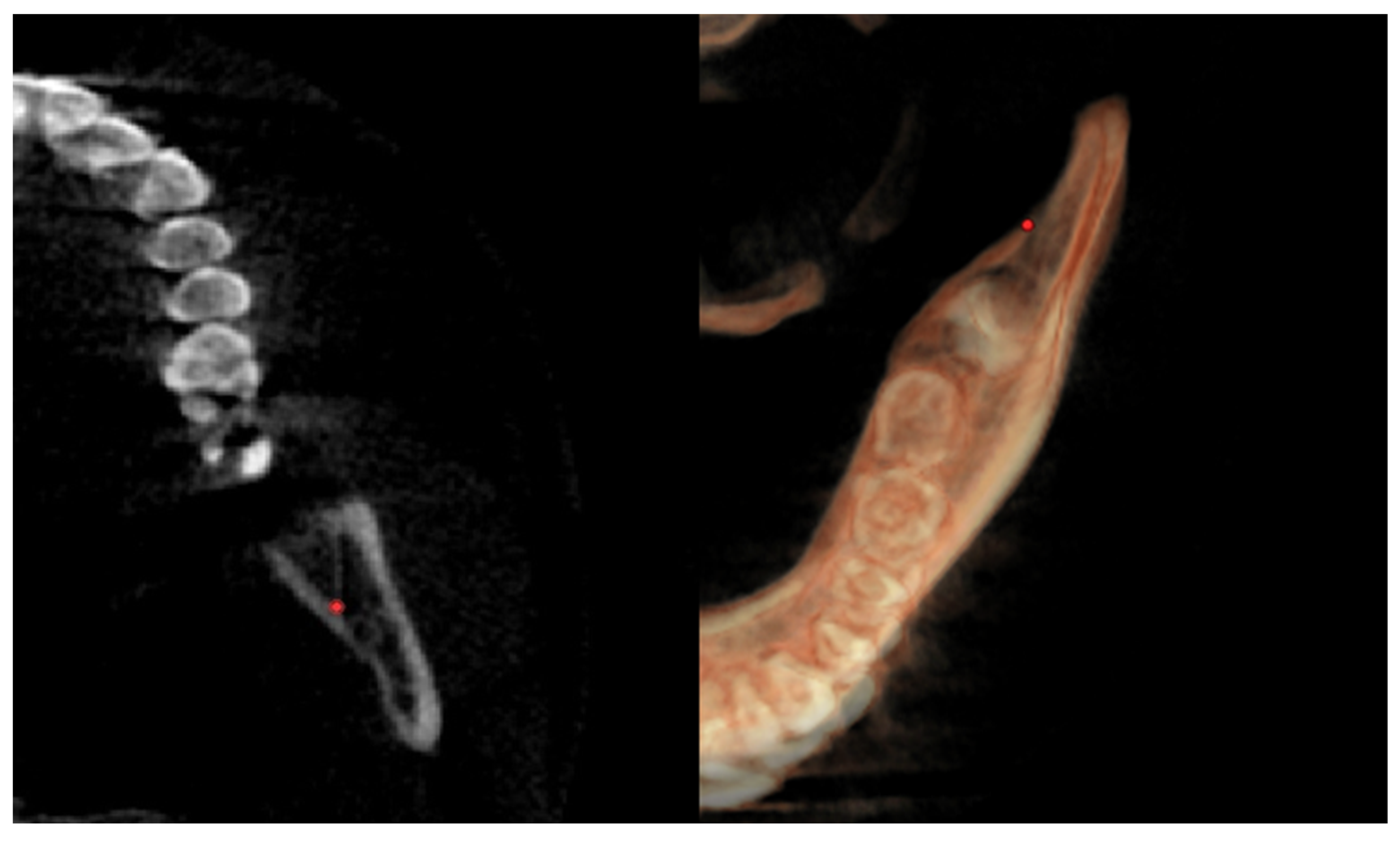 Diagnostics 12 02513 g005 Diagnostics 12 02513 g005