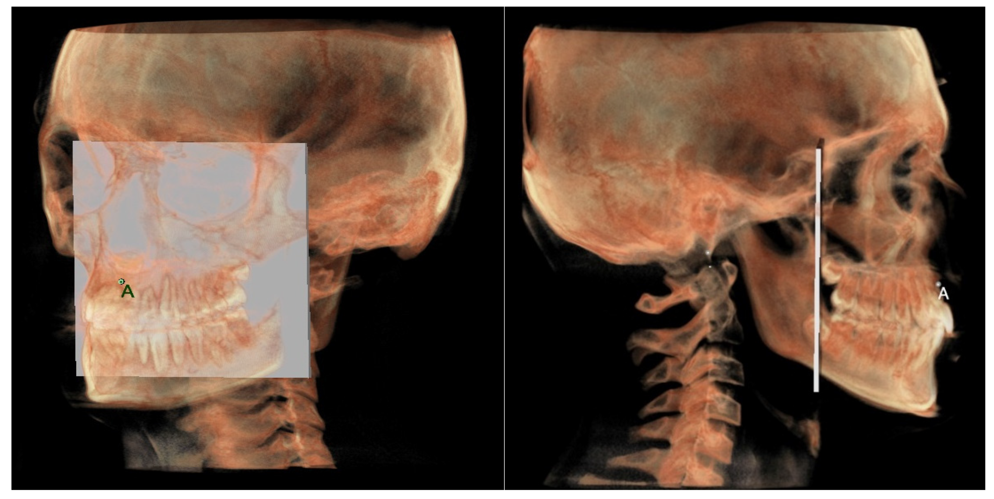 Diagnostics 12 02513 g007 Diagnostics 12 02513 g007