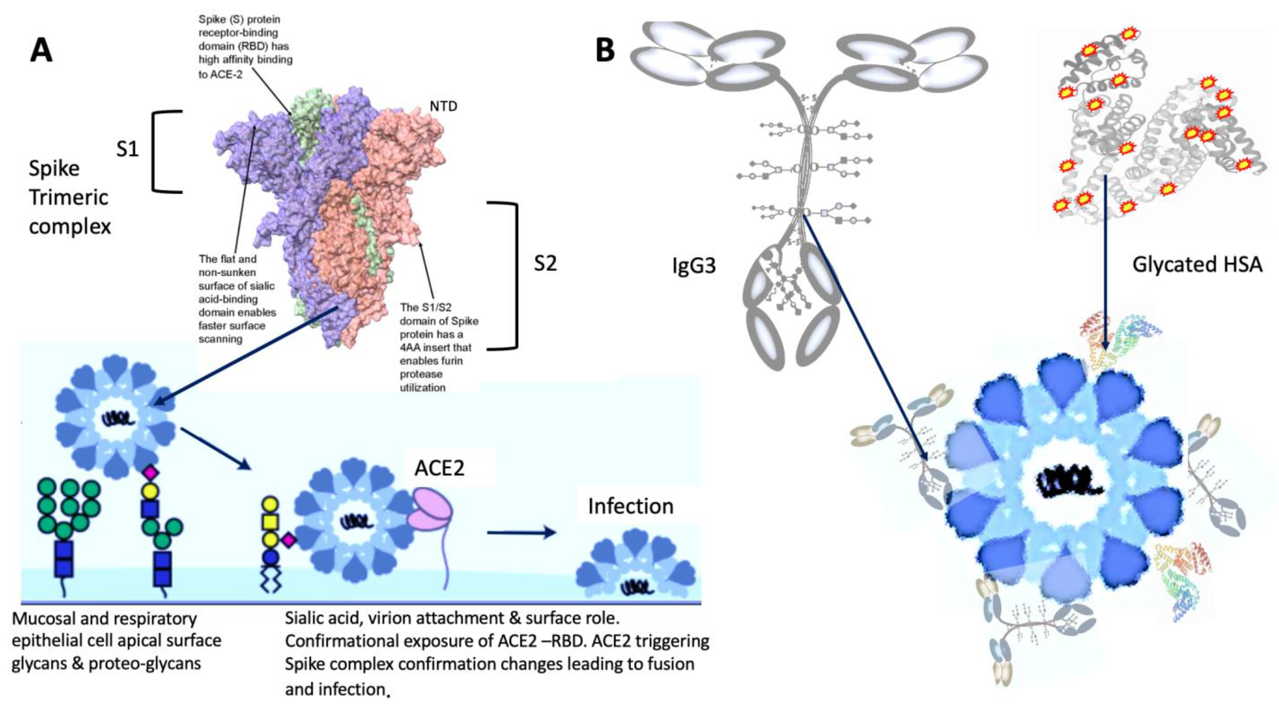Diagnostics 12 02521 g004 Diagnostics 12 02521 g004