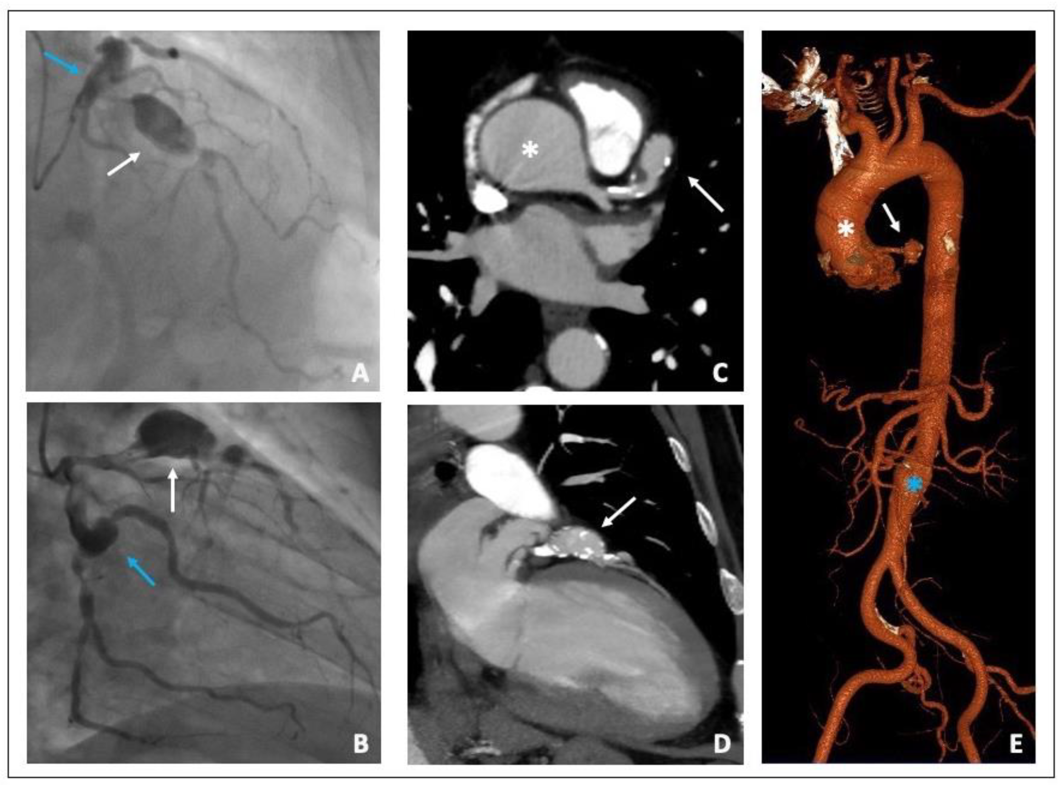 Diagnostics 12 02534 g002