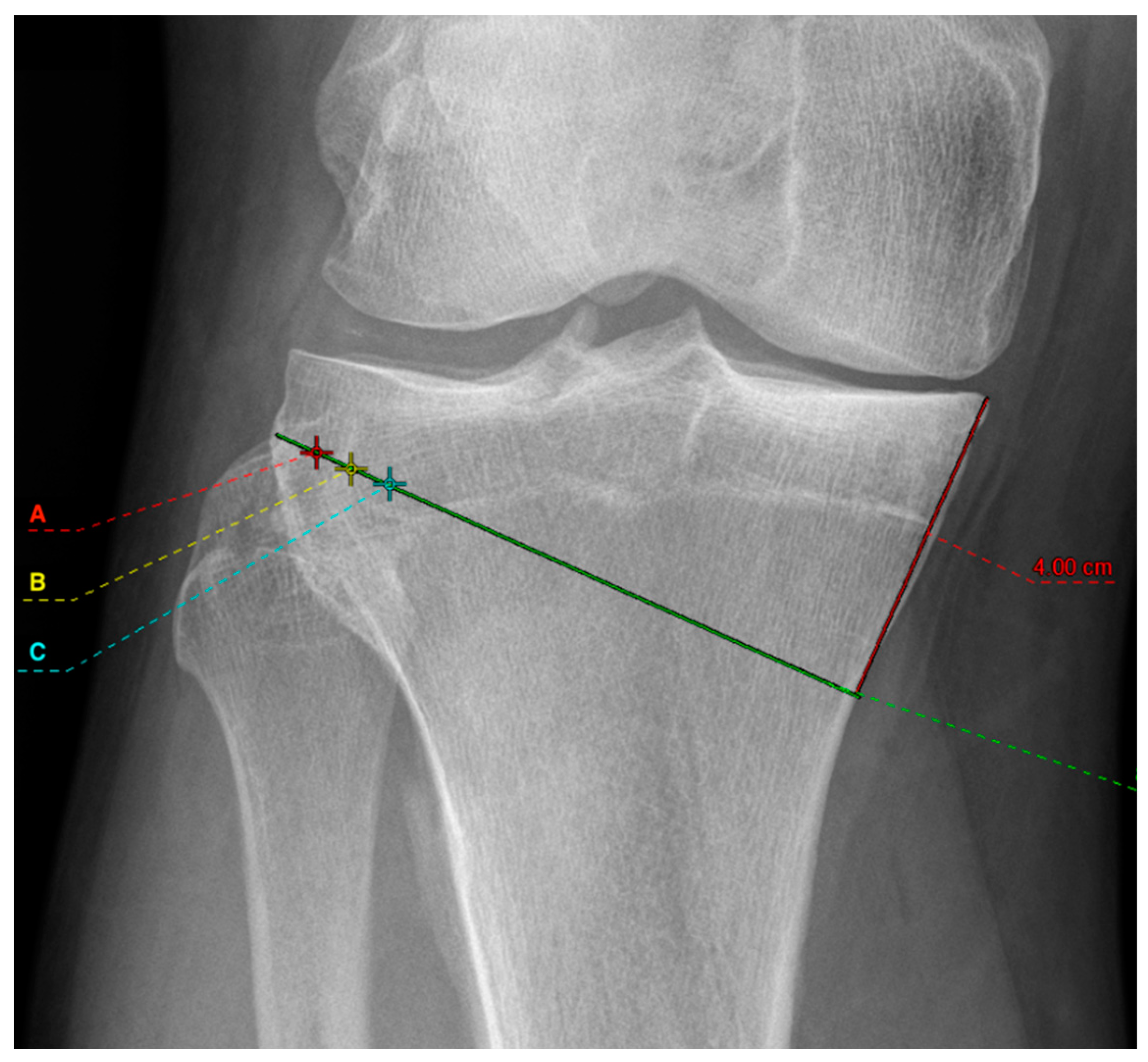 Diagnostics 12 02546 g002 Diagnostics 12 02546 g002