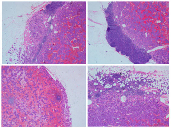 Diagnostics 12 02553 g001