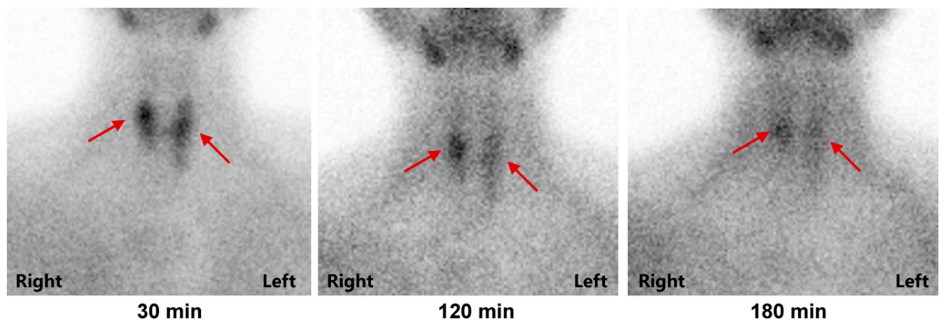 Diagnostics 12 02553 g002