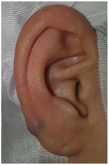 Diagnostics 12 02579 g001