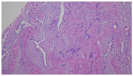 Diagnostics 12 02579 g003