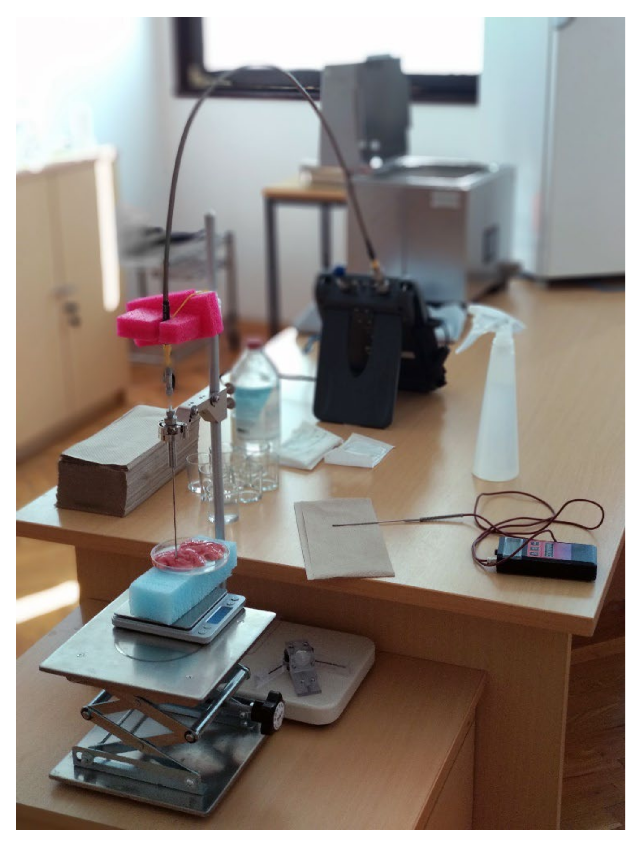 Diagnostics 12 02580 g002