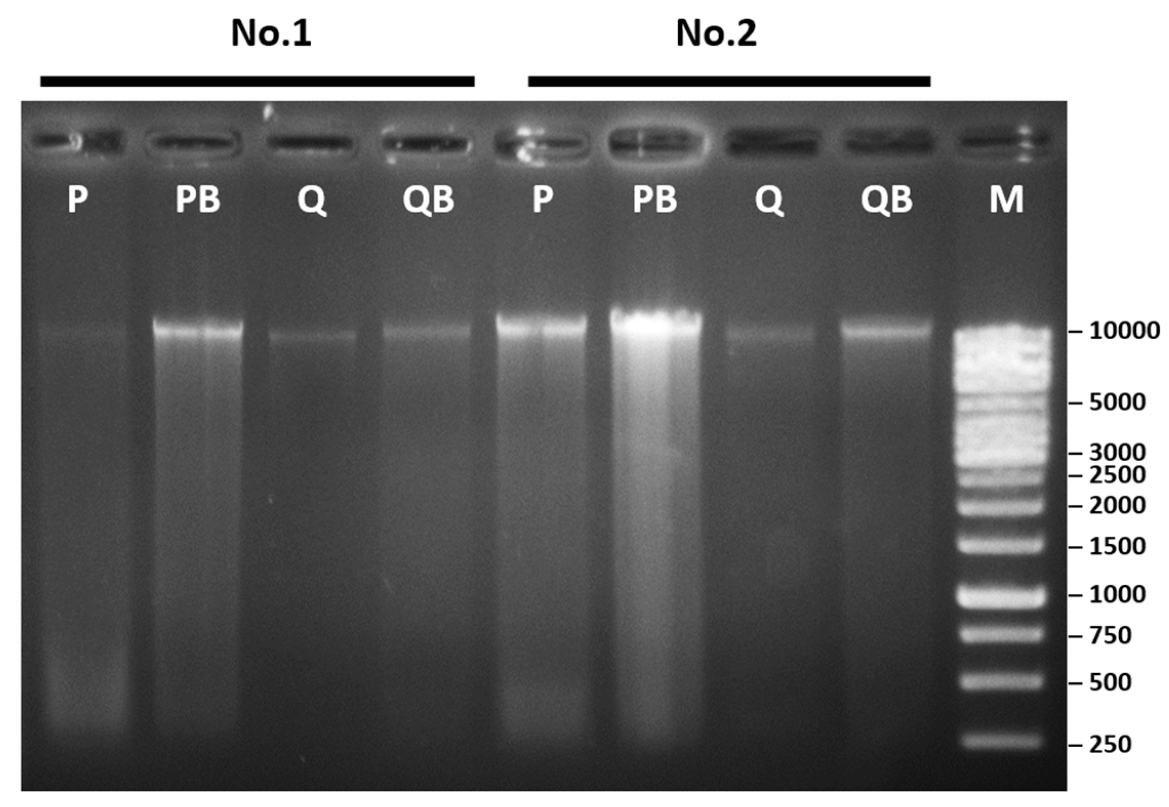 Diagnostics 12 02588 g005