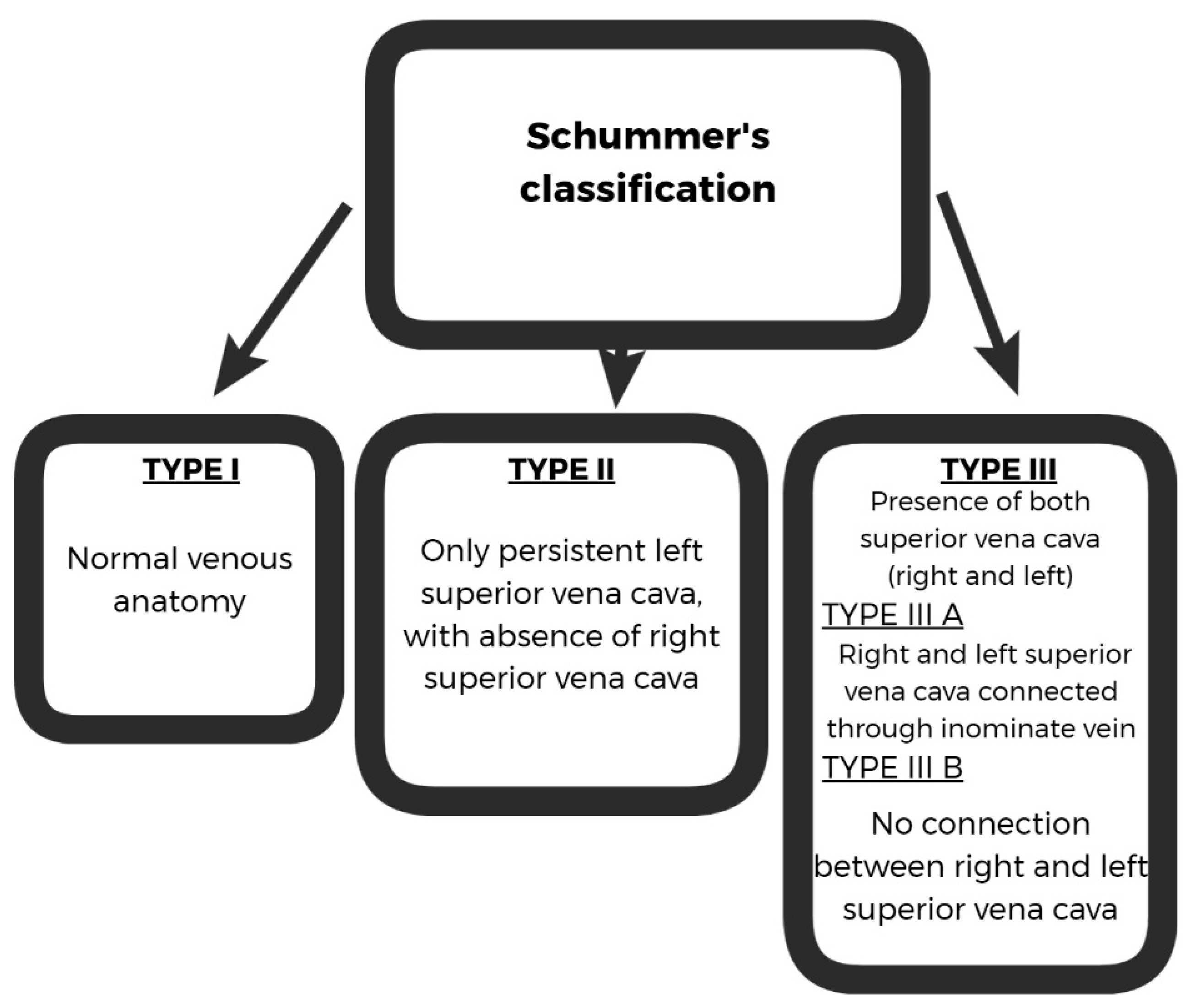 Diagnostics 12 02596 g001 Diagnostics 12 02596 g001