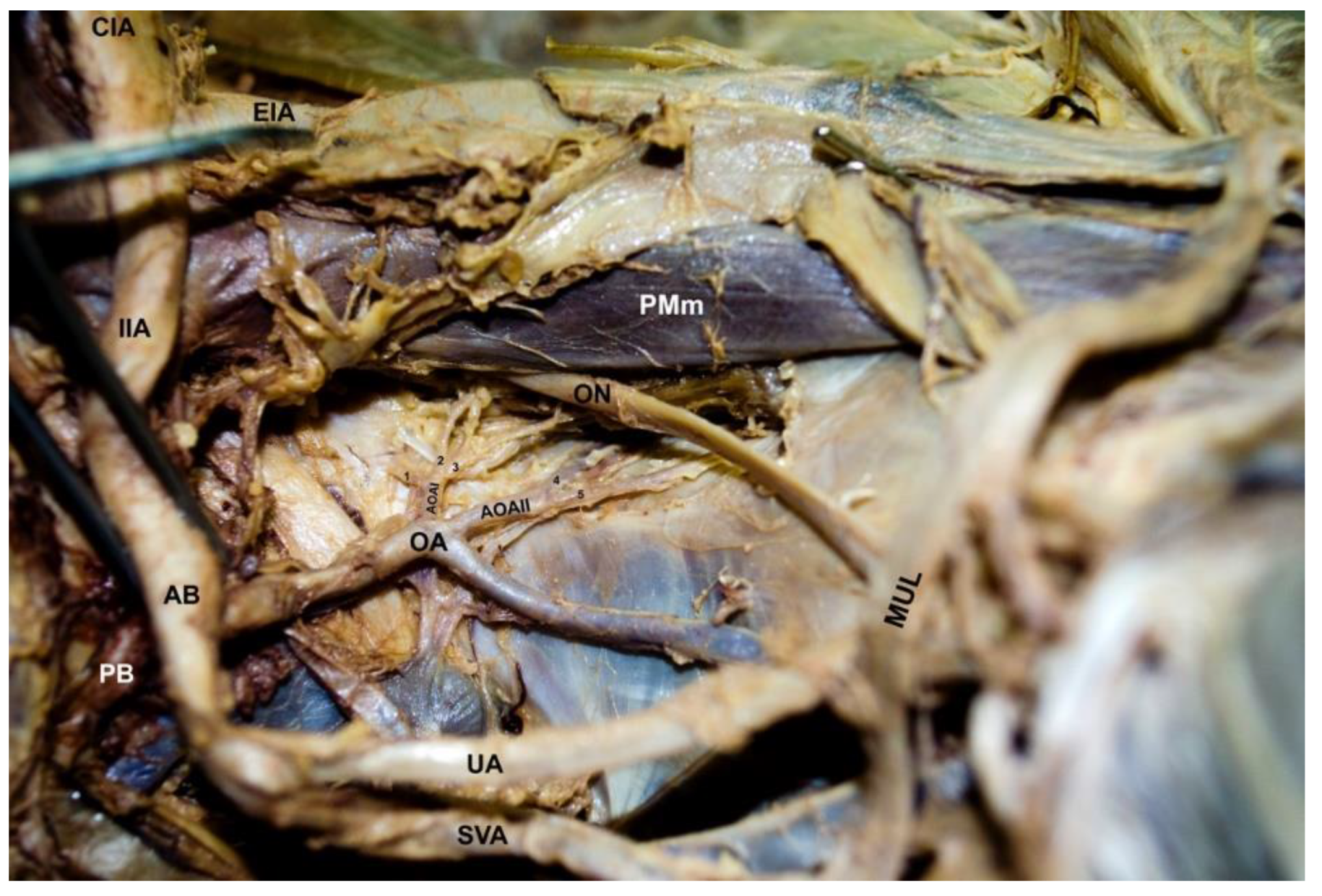 Diagnostics 12 02614 g002