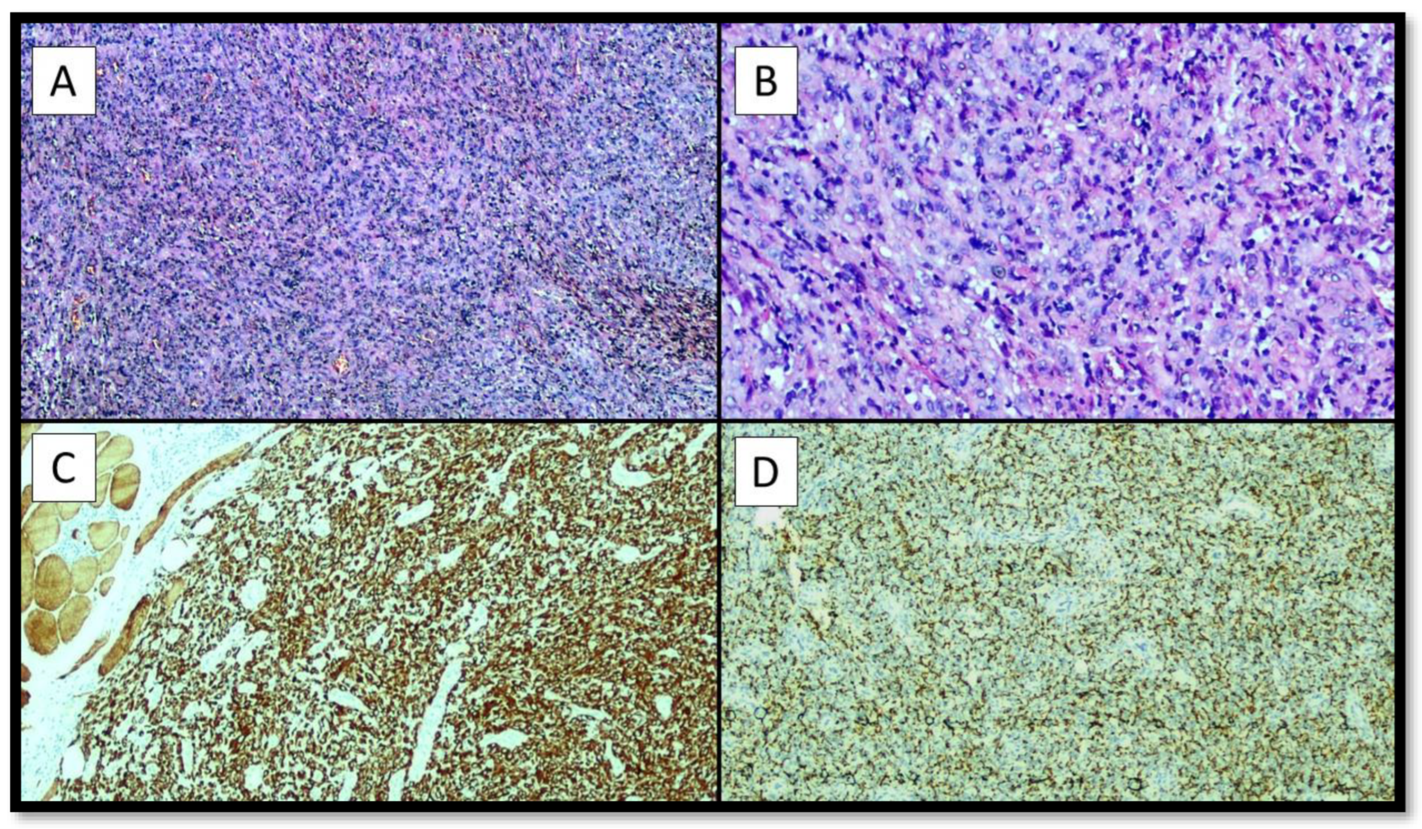 Diagnostics 12 02616 g002